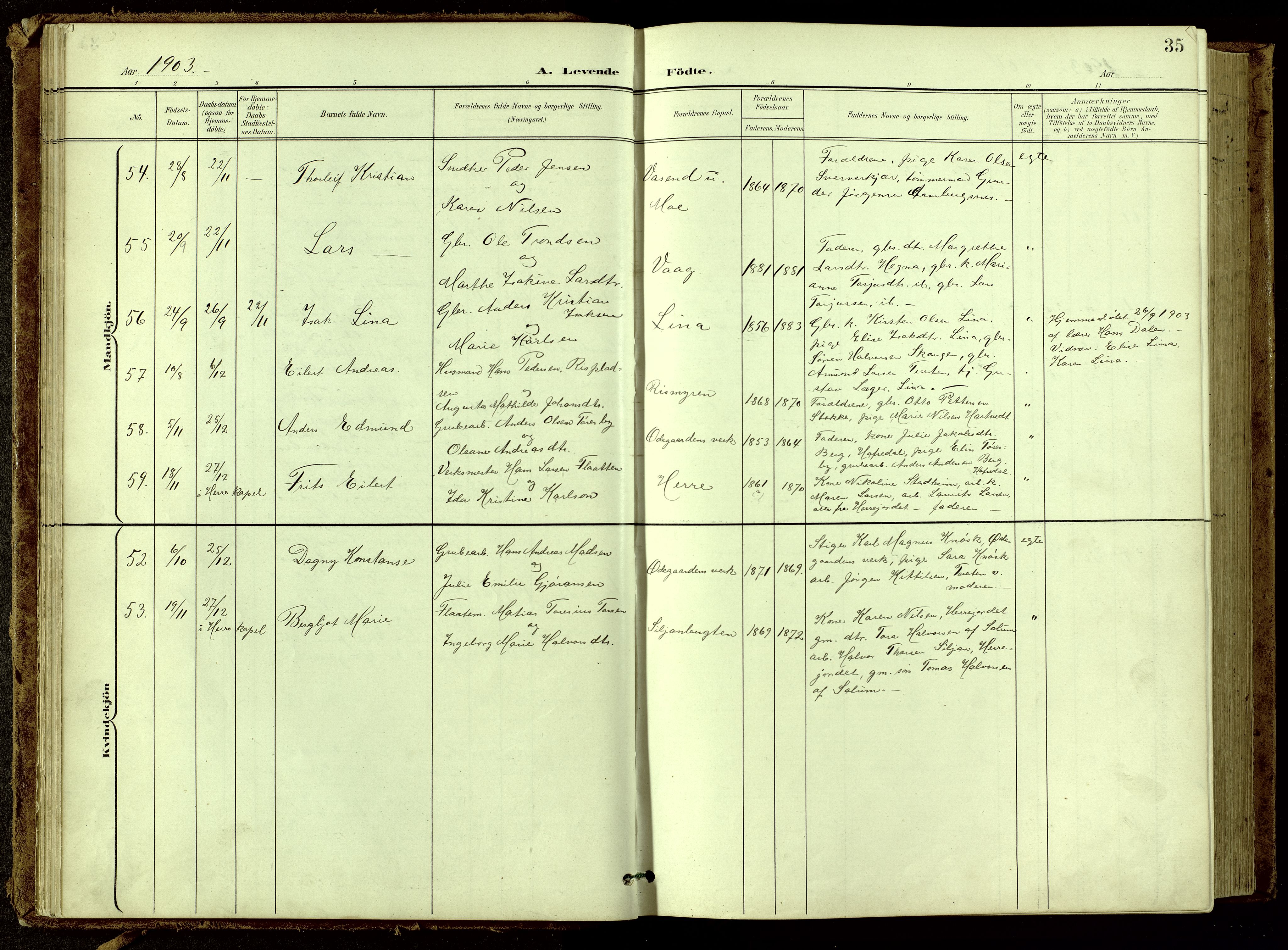 Bamble kirkebøker, SAKO/A-253/G/Ga/L0010: Parish register (copy) no. I 10, 1901-1919, p. 35