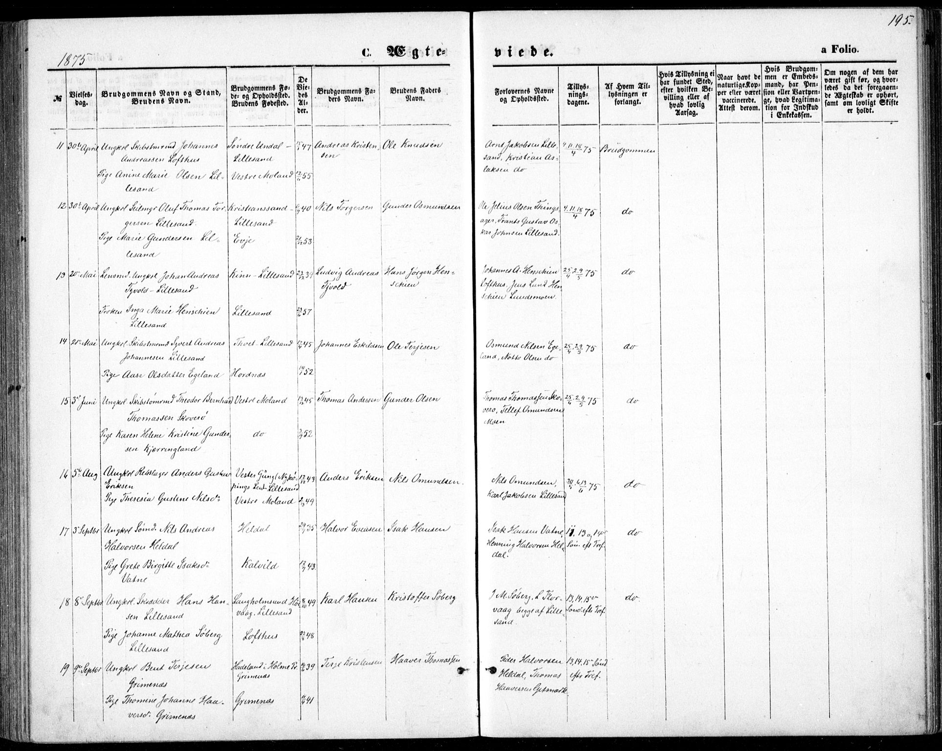 Vestre Moland sokneprestkontor, AV/SAK-1111-0046/F/Fb/Fbb/L0005: Parish register (copy) no. B 5, 1872-1883, p. 195