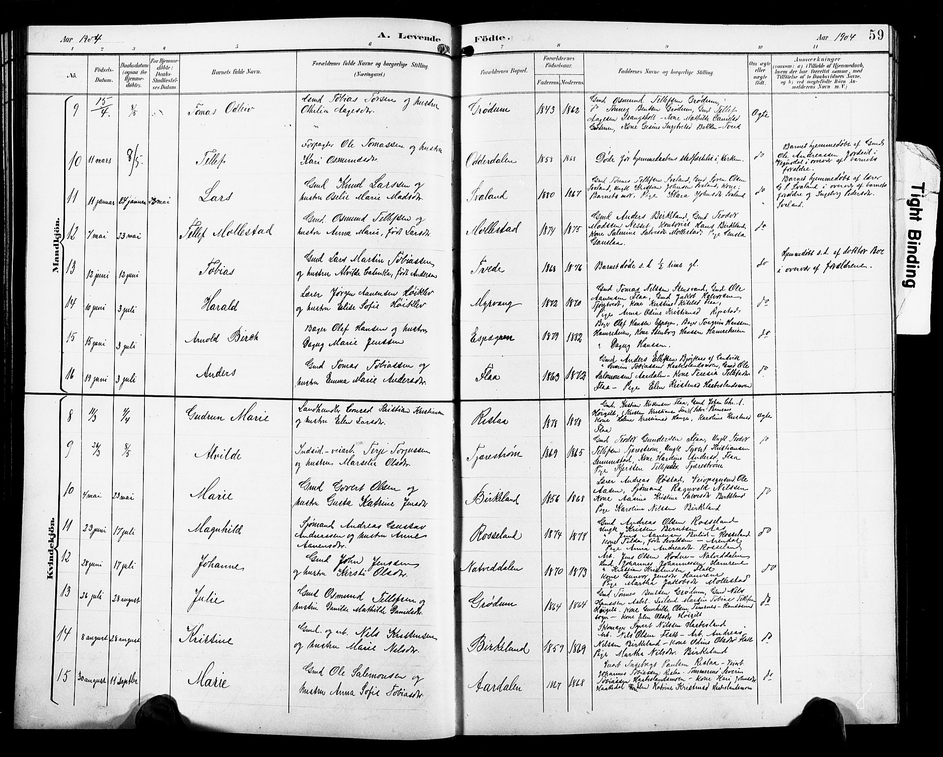 Birkenes sokneprestkontor, AV/SAK-1111-0004/F/Fb/L0004: Parish register (copy) no. B 4, 1893-1930, p. 59