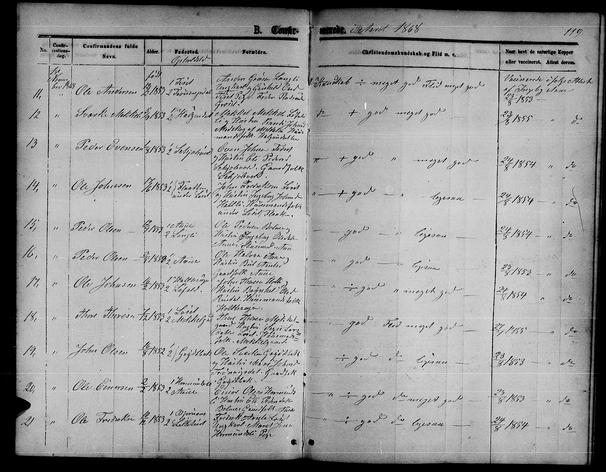 Ministerialprotokoller, klokkerbøker og fødselsregistre - Møre og Romsdal, AV/SAT-A-1454/598/L1076: Parish register (copy) no. 598C01, 1867-1878, p. 119