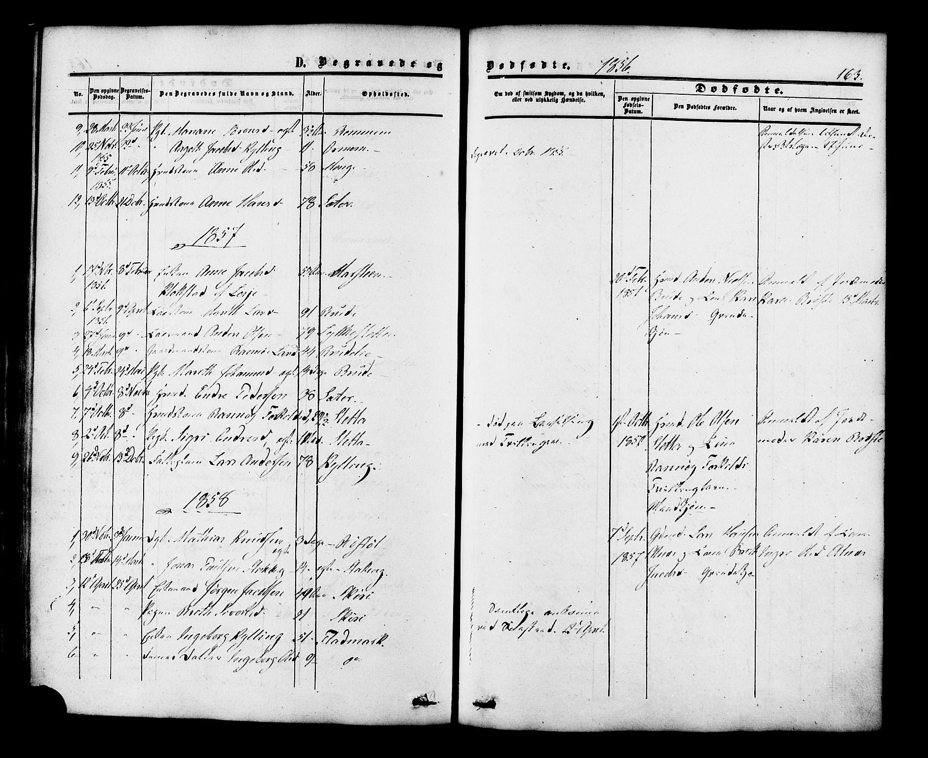 Ministerialprotokoller, klokkerbøker og fødselsregistre - Møre og Romsdal, SAT/A-1454/546/L0594: Parish register (official) no. 546A02, 1854-1882, p. 163