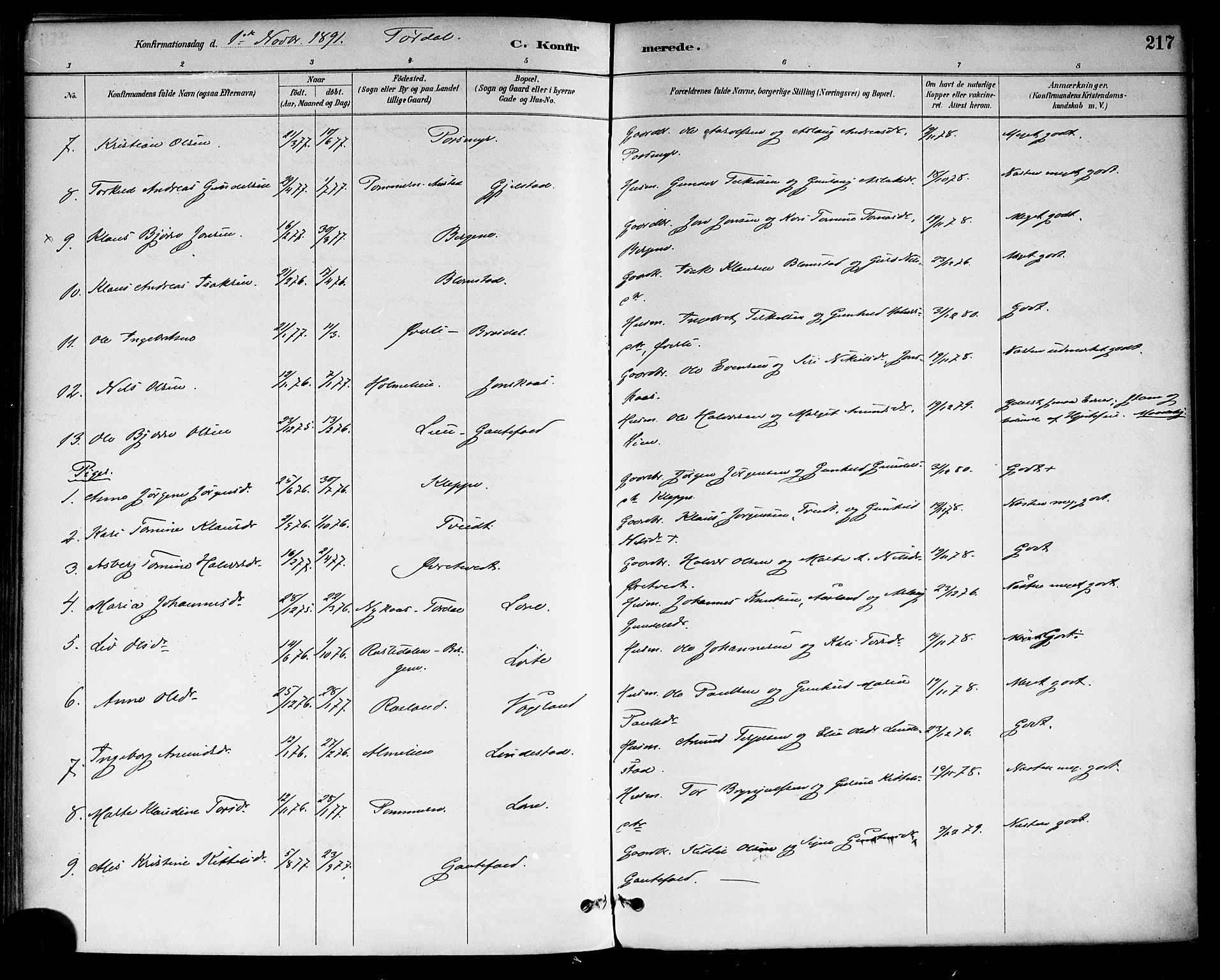 Drangedal kirkebøker, SAKO/A-258/F/Fa/L0010: Parish register (official) no. 10 /2, 1885-1894, p. 217