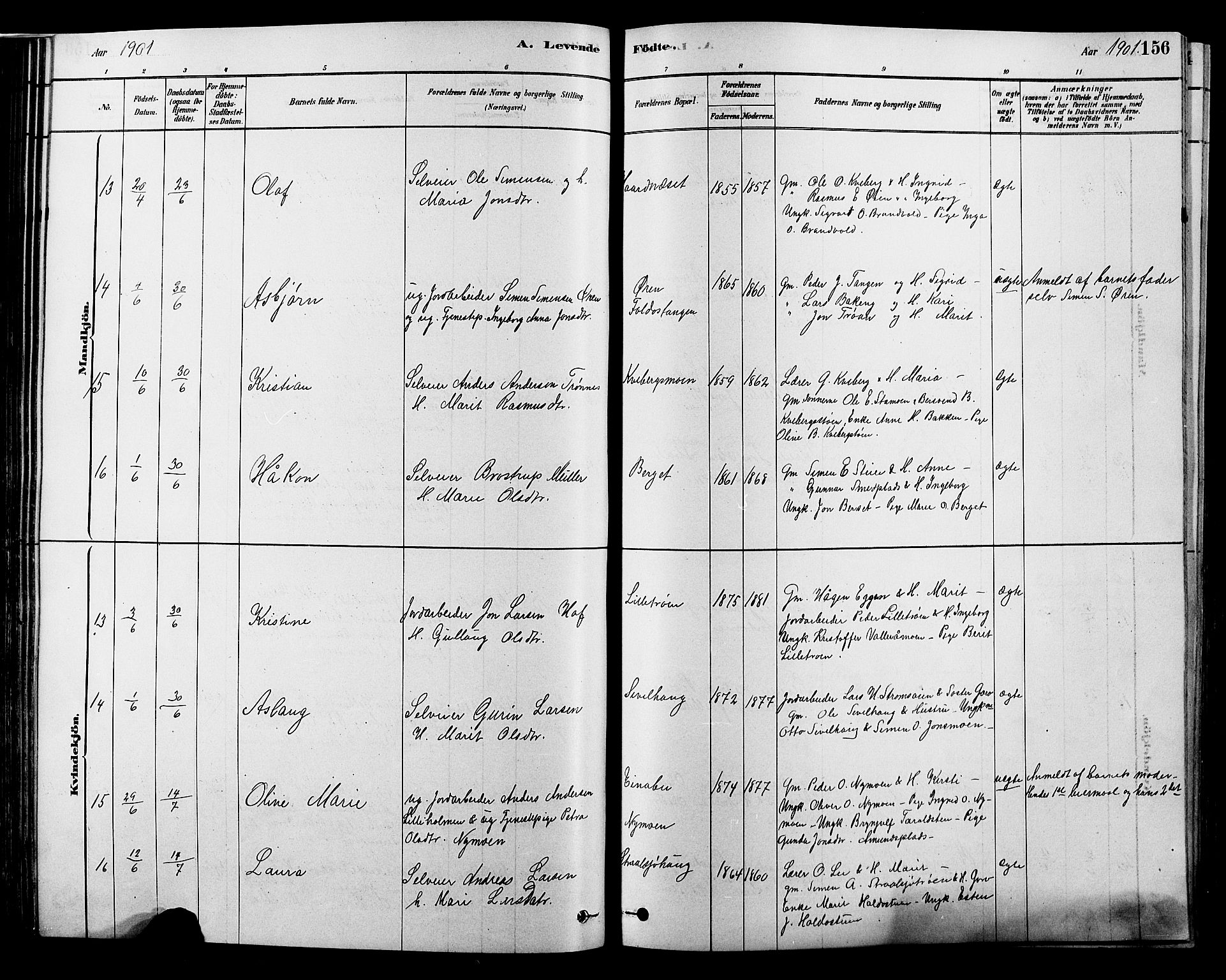 Alvdal prestekontor, AV/SAH-PREST-060/H/Ha/Hab/L0003: Parish register (copy) no. 3, 1878-1907, p. 156