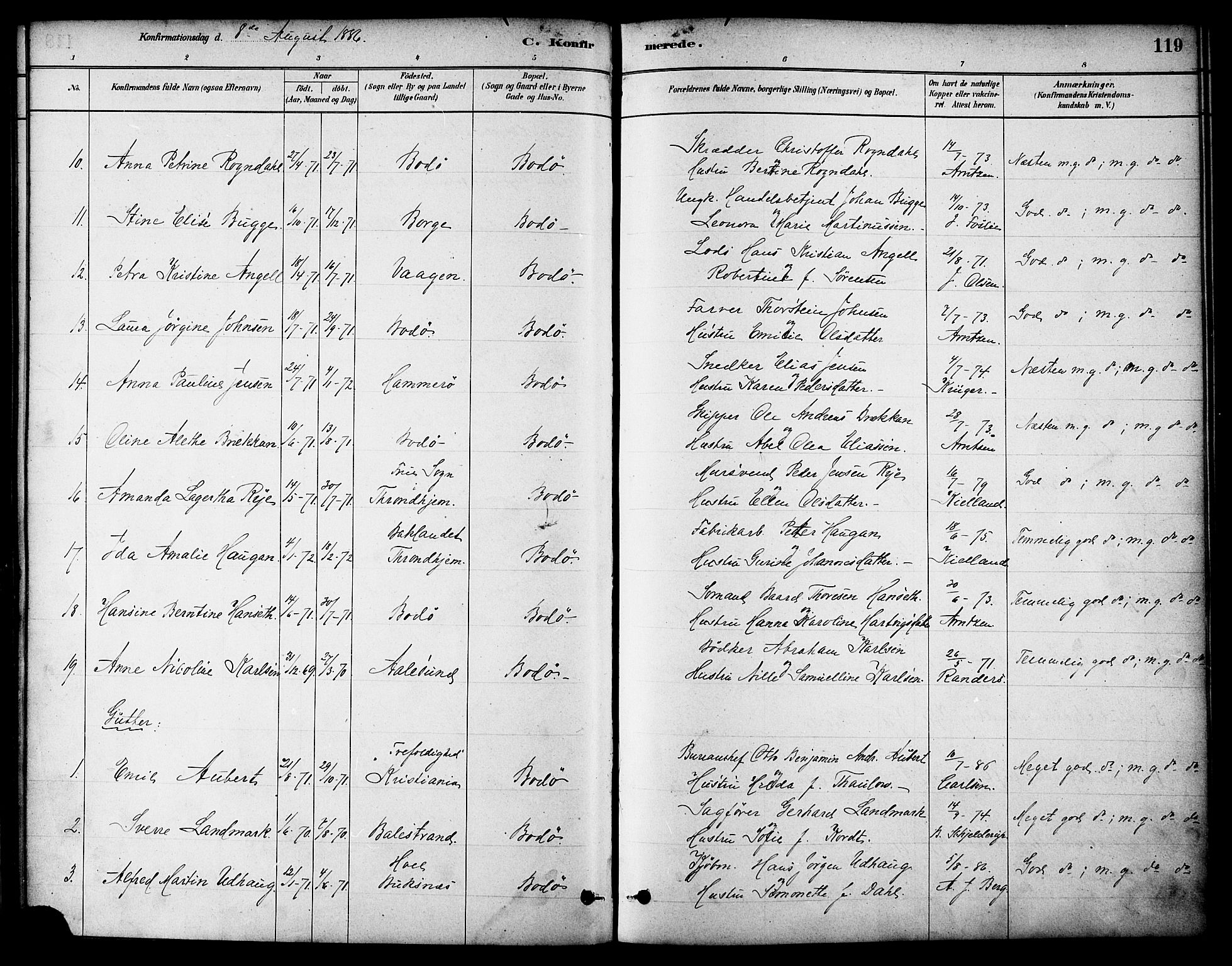 Ministerialprotokoller, klokkerbøker og fødselsregistre - Nordland, AV/SAT-A-1459/801/L0030: Parish register (copy) no. 801C05, 1879-1887, p. 119