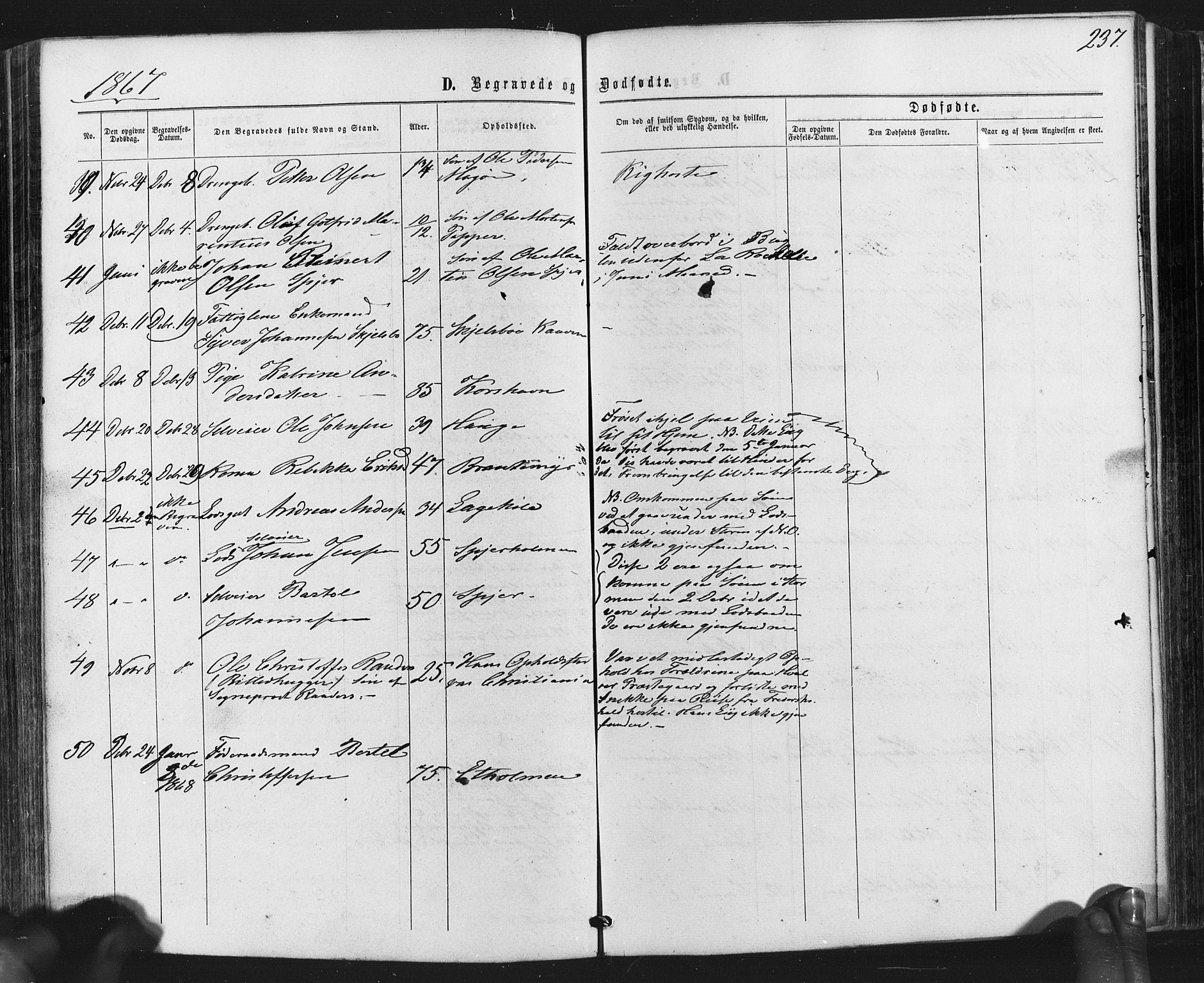 Hvaler prestekontor Kirkebøker, SAO/A-2001/F/Fa/L0007: Parish register (official) no. I 7, 1864-1878, p. 237