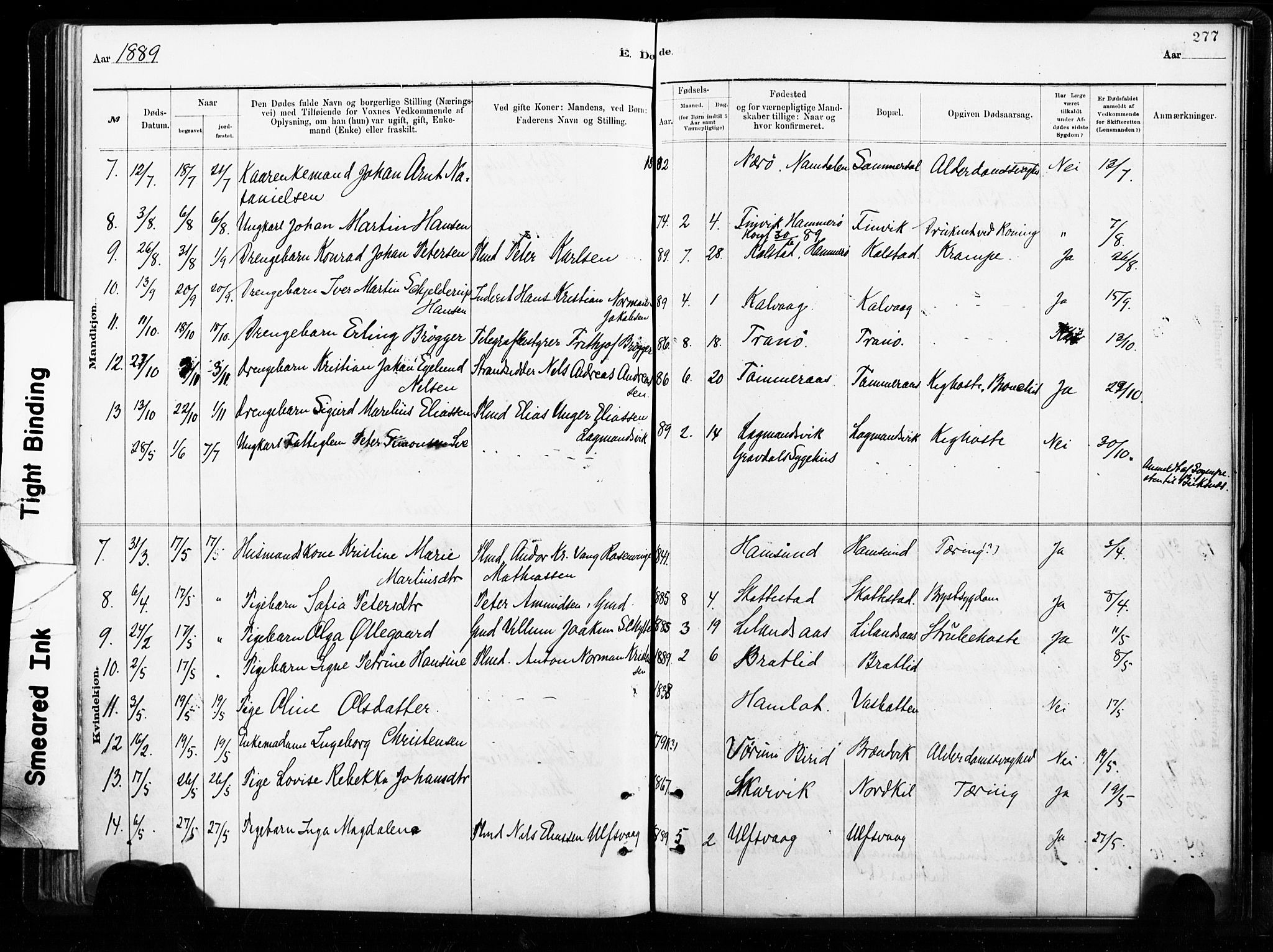 Ministerialprotokoller, klokkerbøker og fødselsregistre - Nordland, AV/SAT-A-1459/859/L0846: Parish register (official) no. 859A06, 1878-1889, p. 277