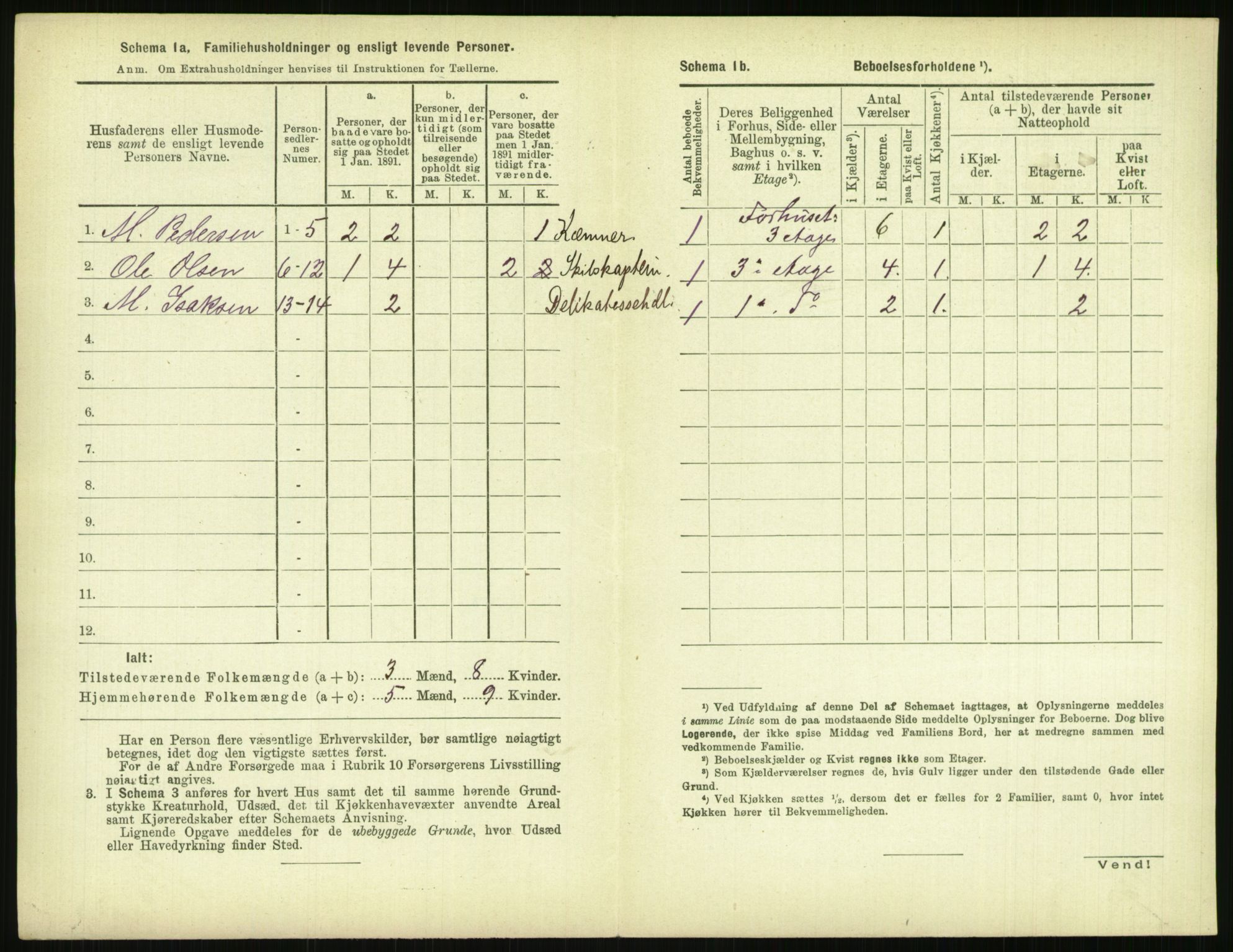 RA, 1891 census for 0806 Skien, 1891, p. 1073