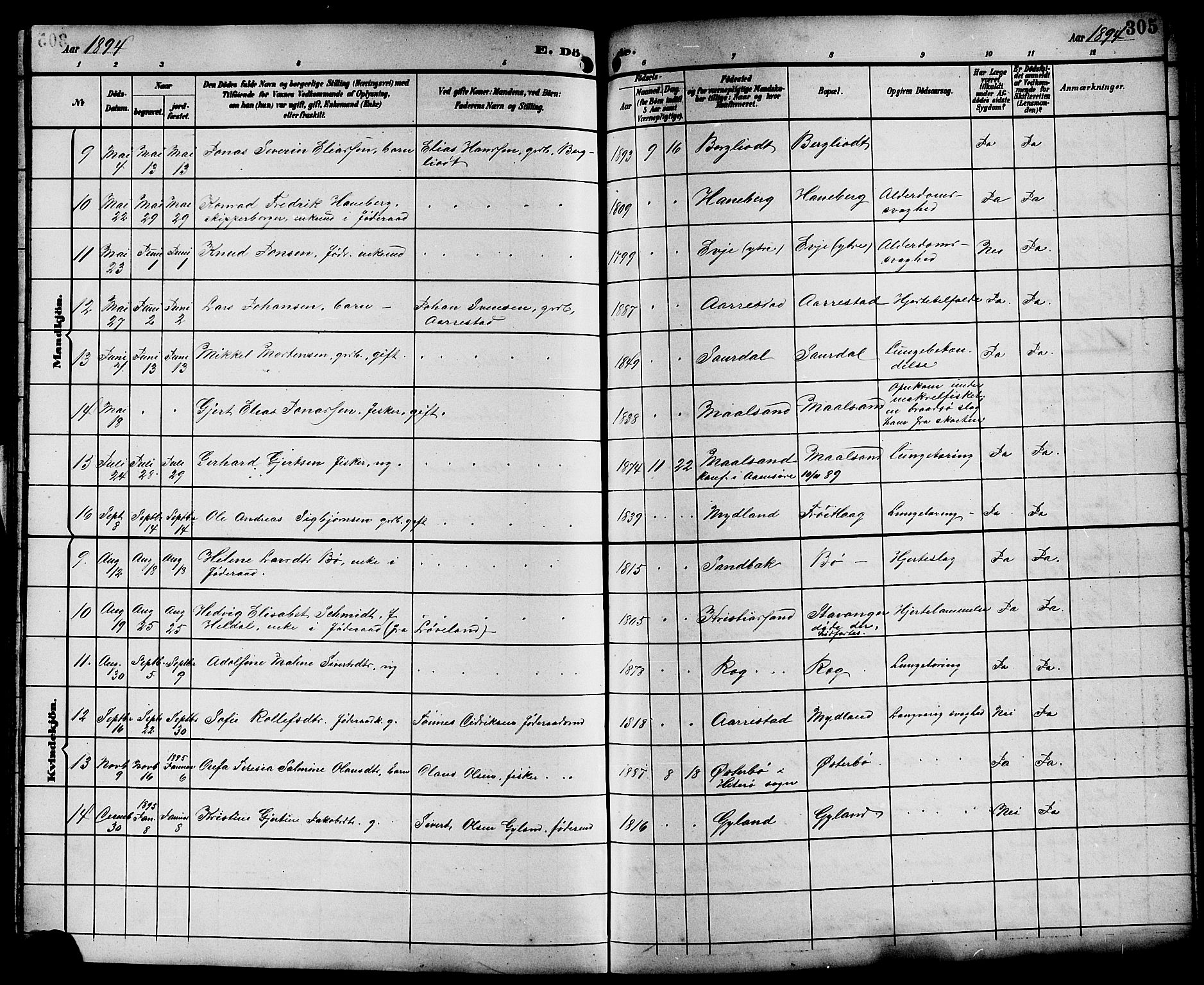Sokndal sokneprestkontor, SAST/A-101808: Parish register (copy) no. B 6, 1892-1907, p. 305
