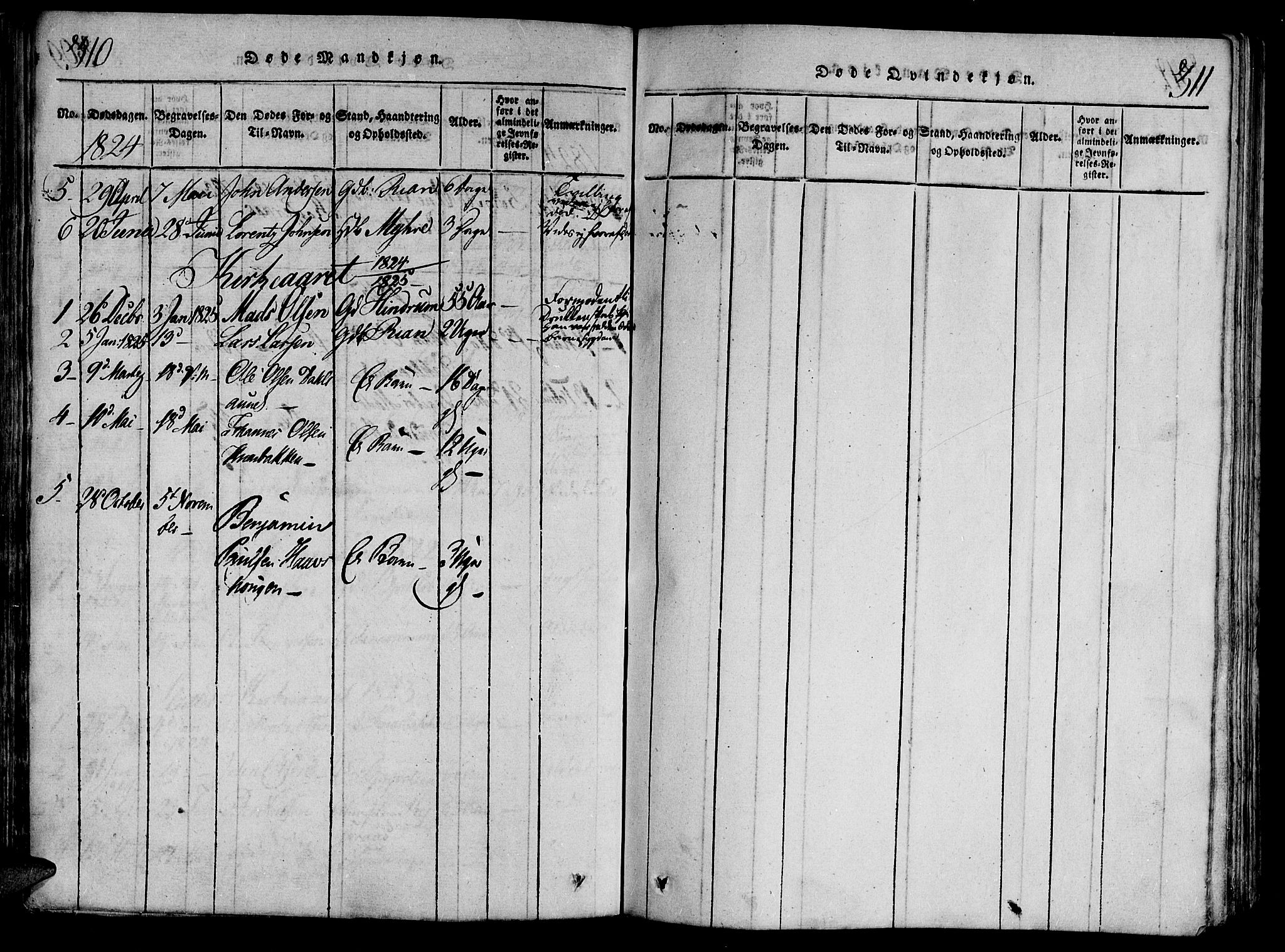 Ministerialprotokoller, klokkerbøker og fødselsregistre - Nord-Trøndelag, SAT/A-1458/701/L0005: Parish register (official) no. 701A05 /2, 1816-1825, p. 310-311
