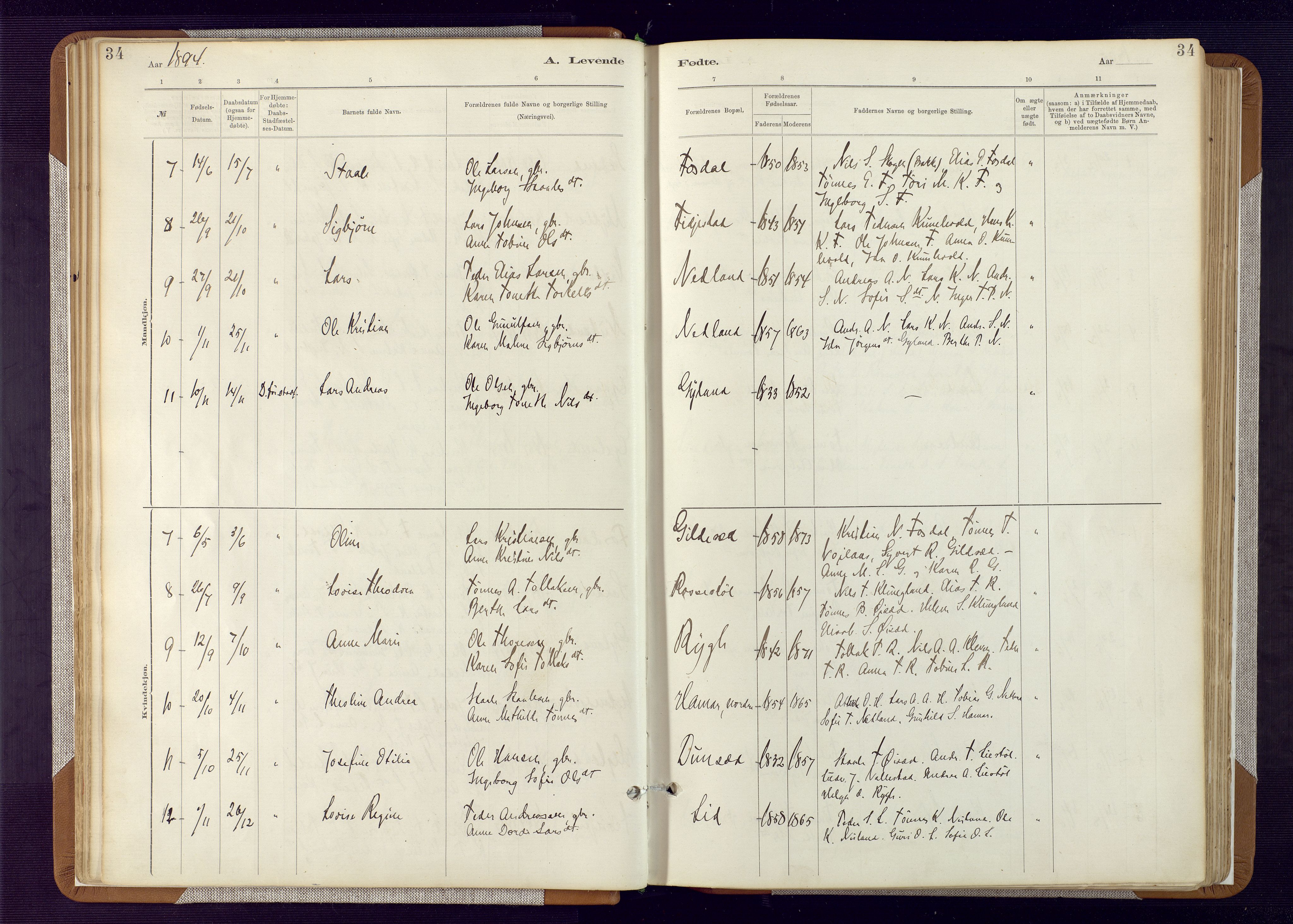 Bakke sokneprestkontor, AV/SAK-1111-0002/F/Fa/Fab/L0003: Parish register (official) no. A 3, 1884-1921, p. 34