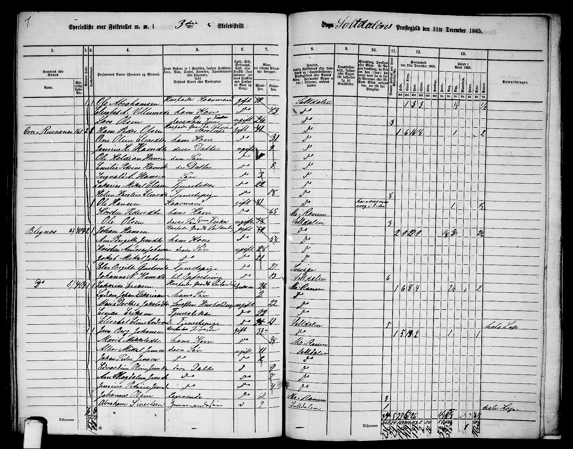 RA, 1865 census for Saltdal, 1865, p. 66