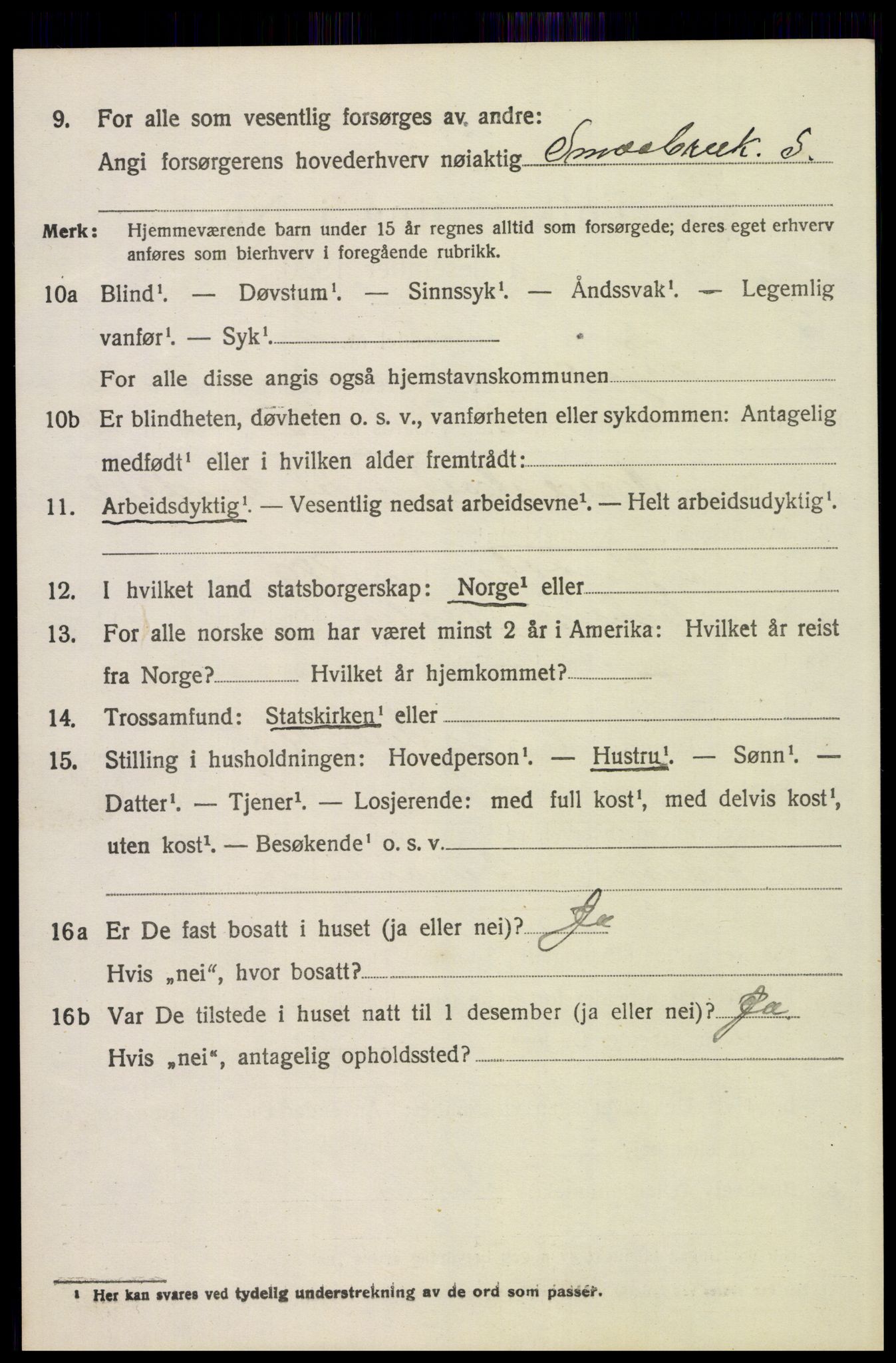 SAH, 1920 census for Trysil, 1920, p. 14996