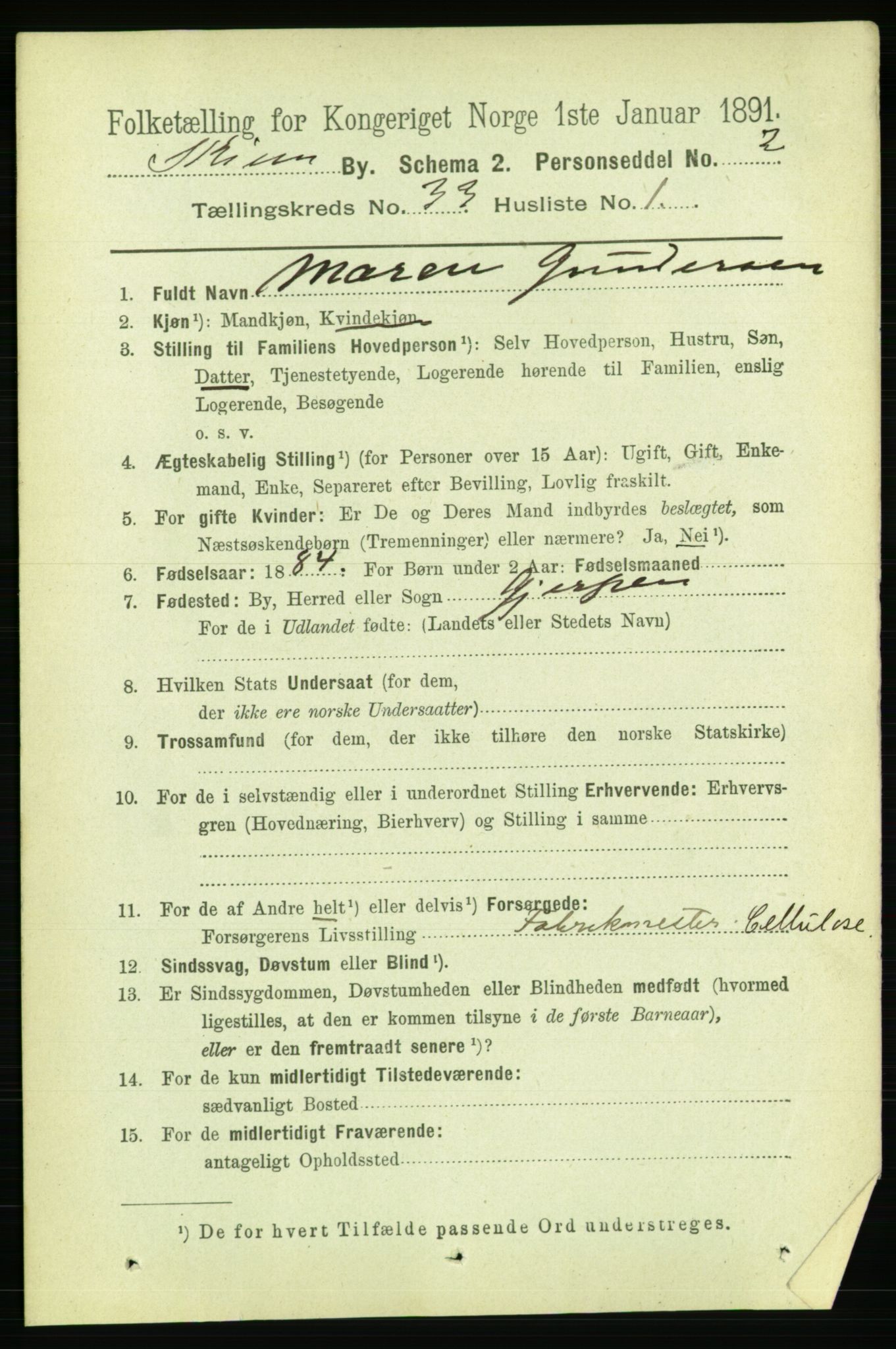 RA, 1891 census for 0806 Skien, 1891, p. 7492