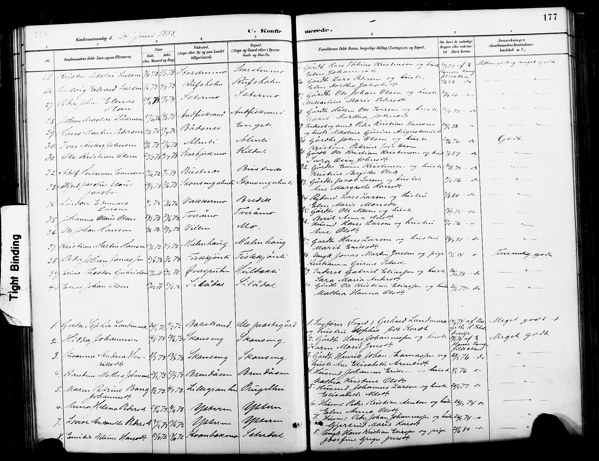 Ministerialprotokoller, klokkerbøker og fødselsregistre - Nordland, AV/SAT-A-1459/827/L0421: Parish register (copy) no. 827C10, 1887-1906, p. 177