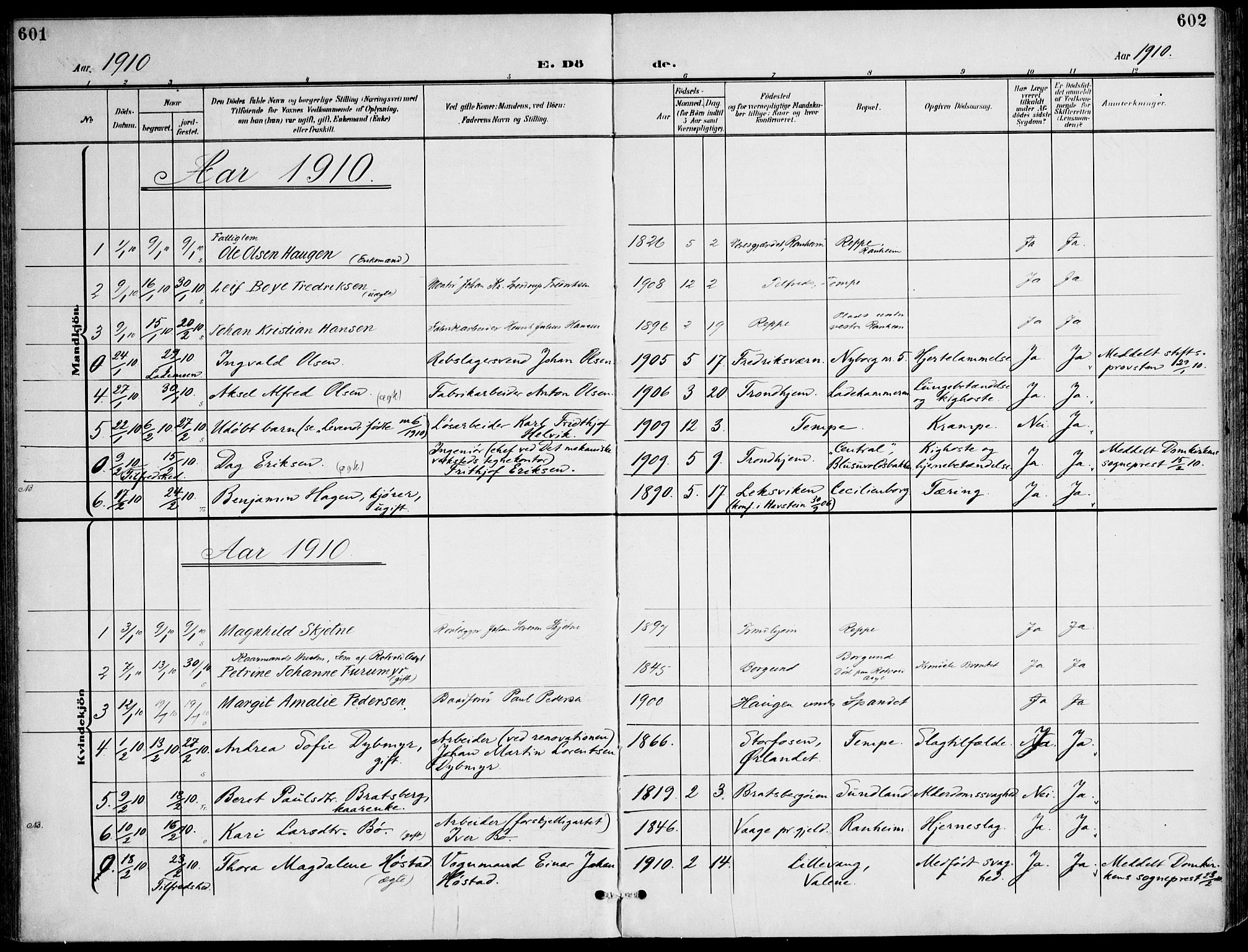 Ministerialprotokoller, klokkerbøker og fødselsregistre - Sør-Trøndelag, SAT/A-1456/607/L0320: Parish register (official) no. 607A04, 1907-1915, p. 601-602