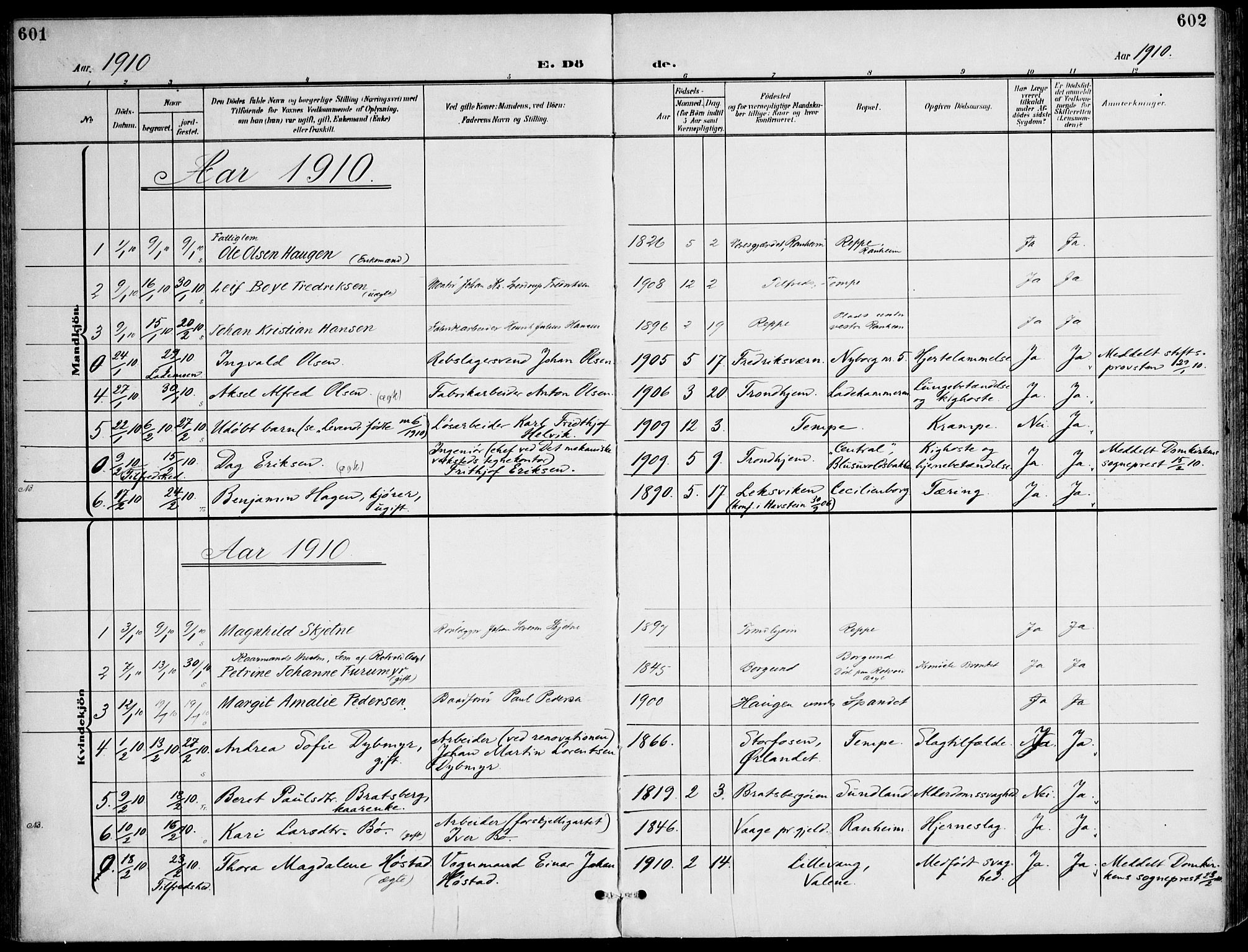 Ministerialprotokoller, klokkerbøker og fødselsregistre - Sør-Trøndelag, AV/SAT-A-1456/607/L0320: Parish register (official) no. 607A04, 1907-1915, p. 601-602