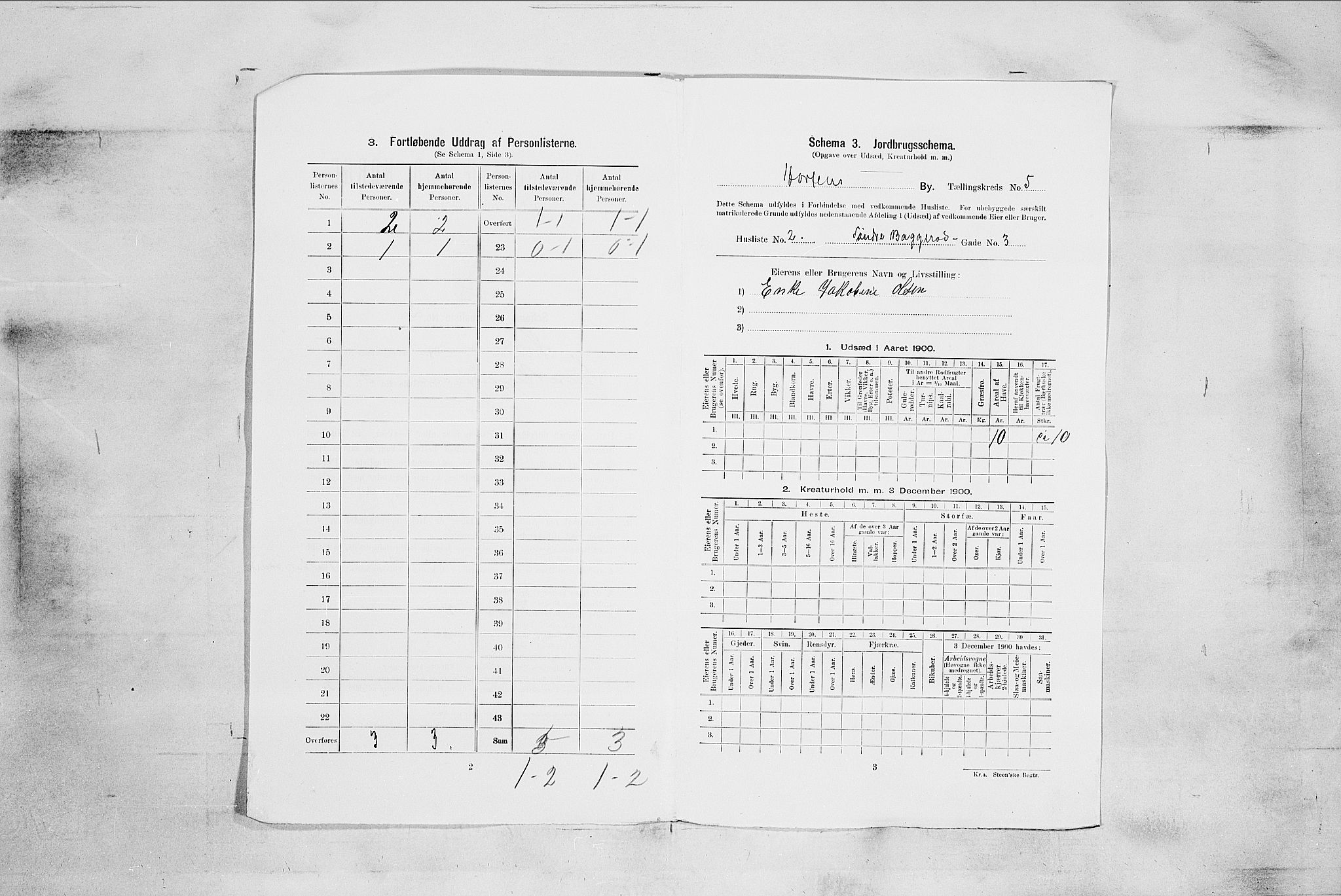 RA, 1900 census for Horten, 1900, p. 3745