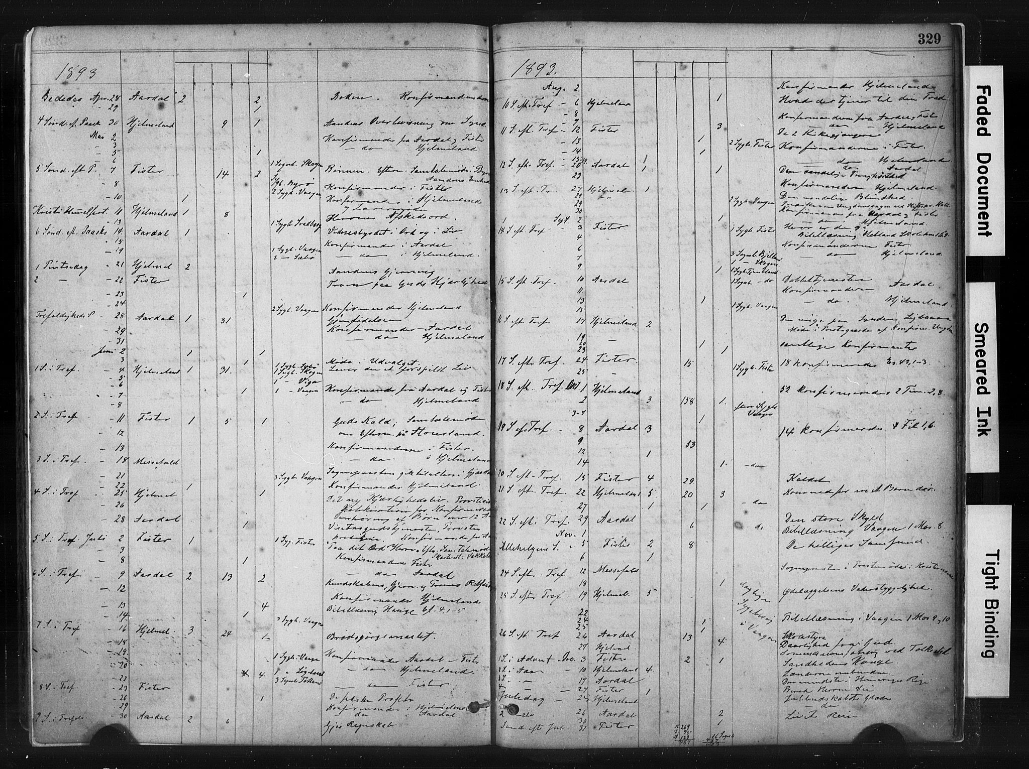 Hjelmeland sokneprestkontor, AV/SAST-A-101843/01/IV/L0014: Parish register (official) no. A 14, 1879-1900, p. 329