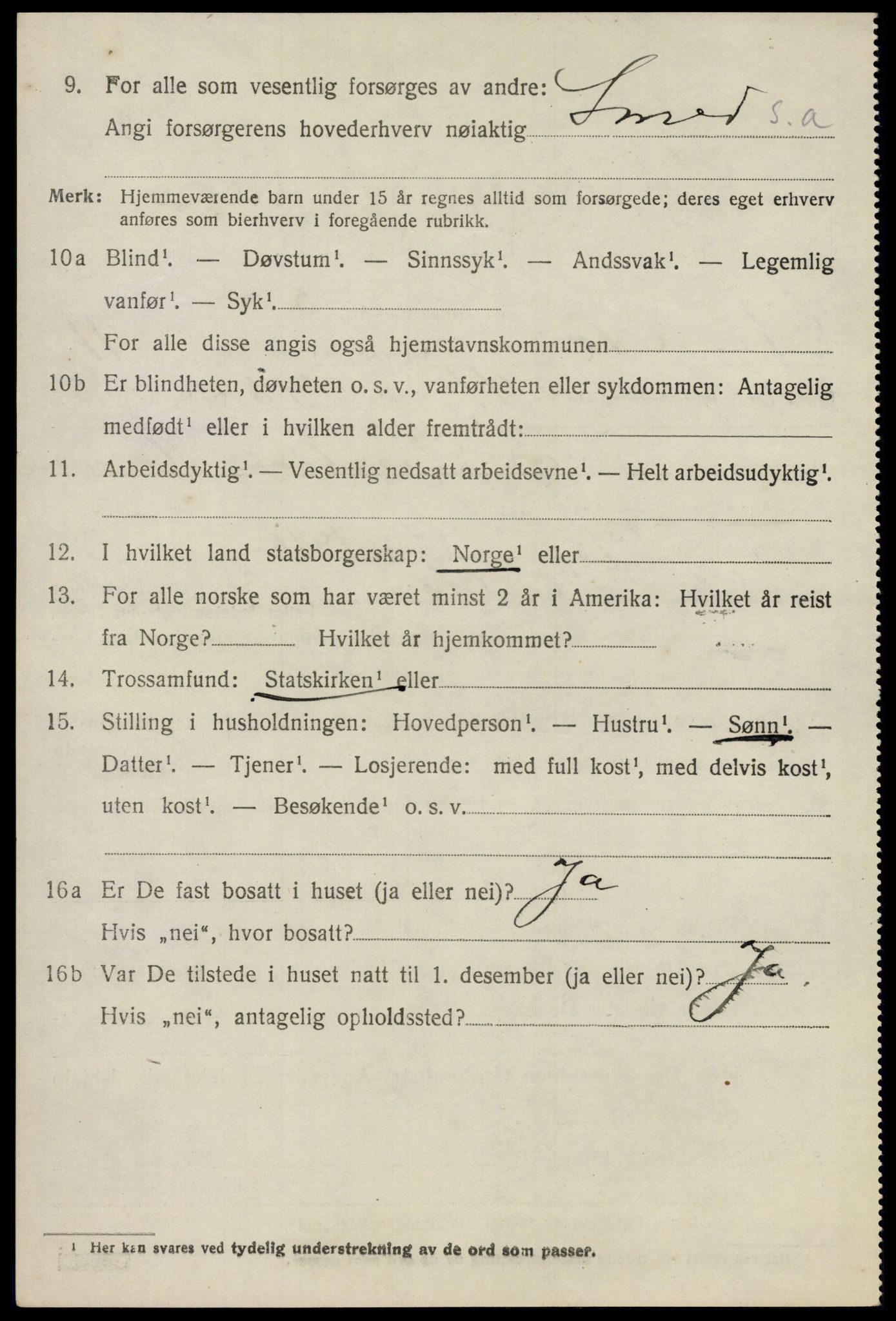 SAO, 1920 census for Nes, 1920, p. 11931