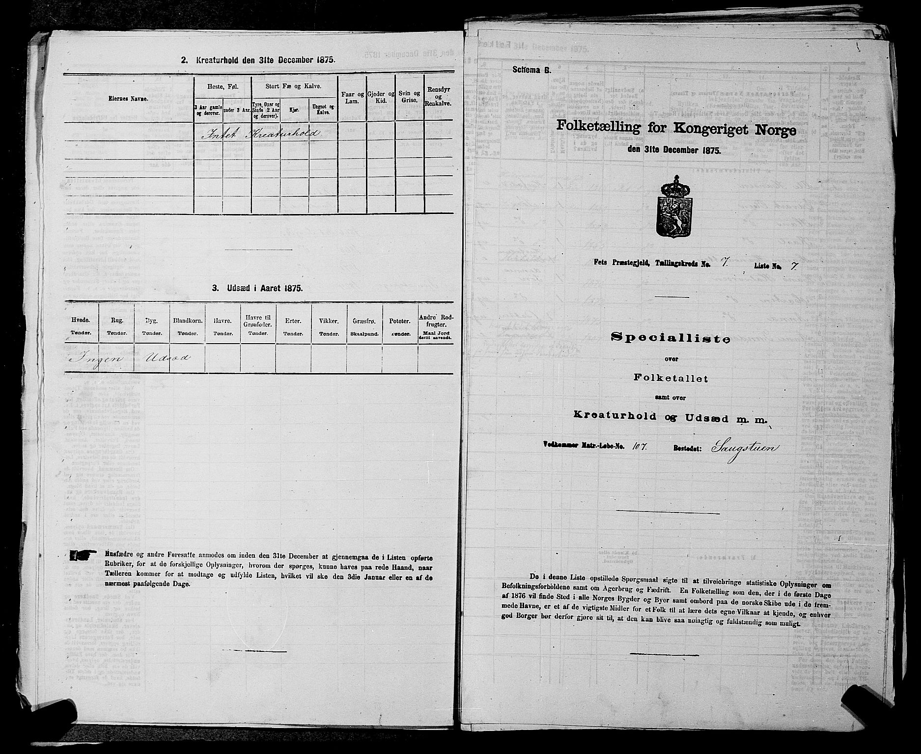 RA, 1875 census for 0227P Fet, 1875, p. 1006