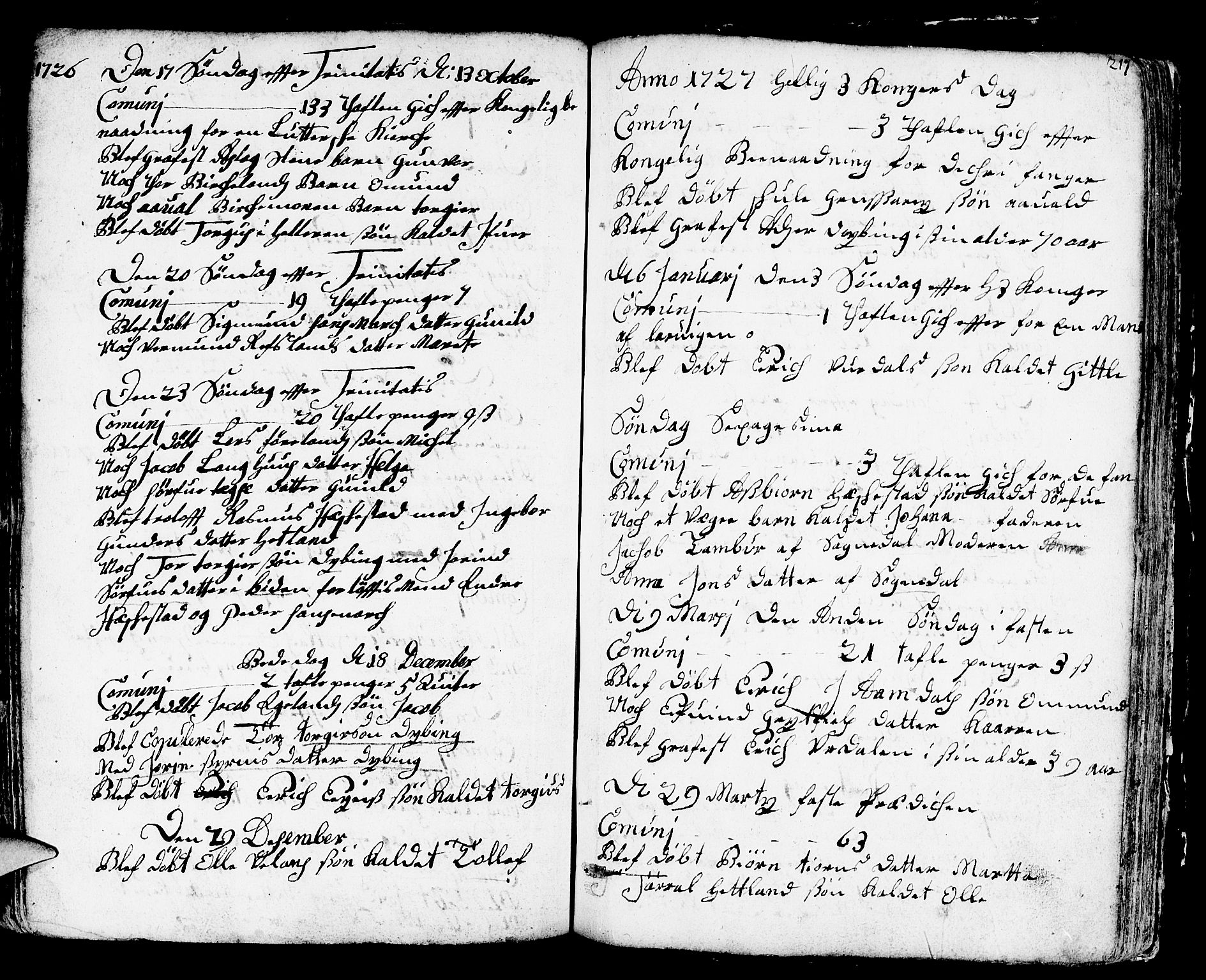 Helleland sokneprestkontor, AV/SAST-A-101810: Parish register (official) no. A 1 /3, 1713-1761, p. 217