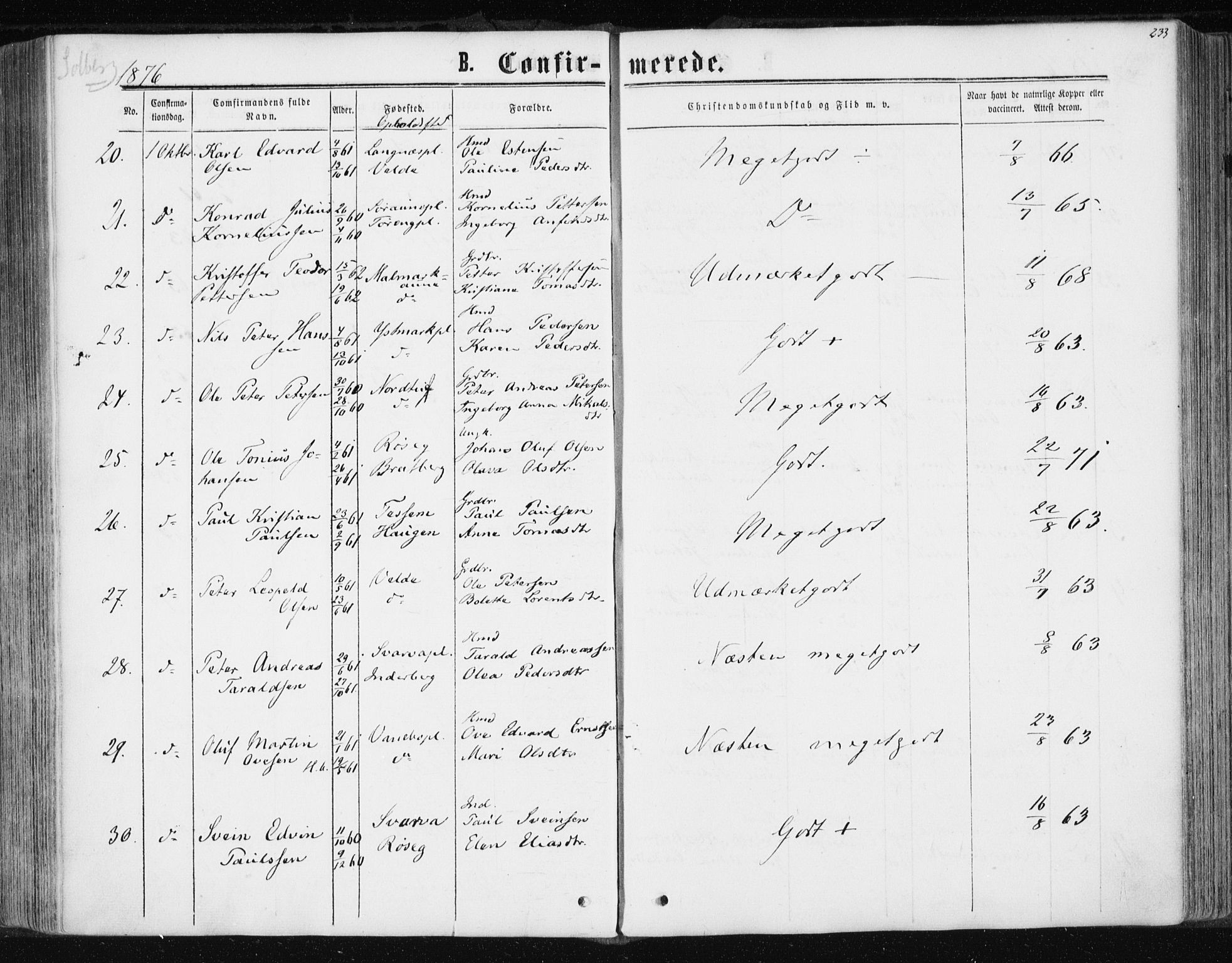 Ministerialprotokoller, klokkerbøker og fødselsregistre - Nord-Trøndelag, SAT/A-1458/741/L0394: Parish register (official) no. 741A08, 1864-1877, p. 233