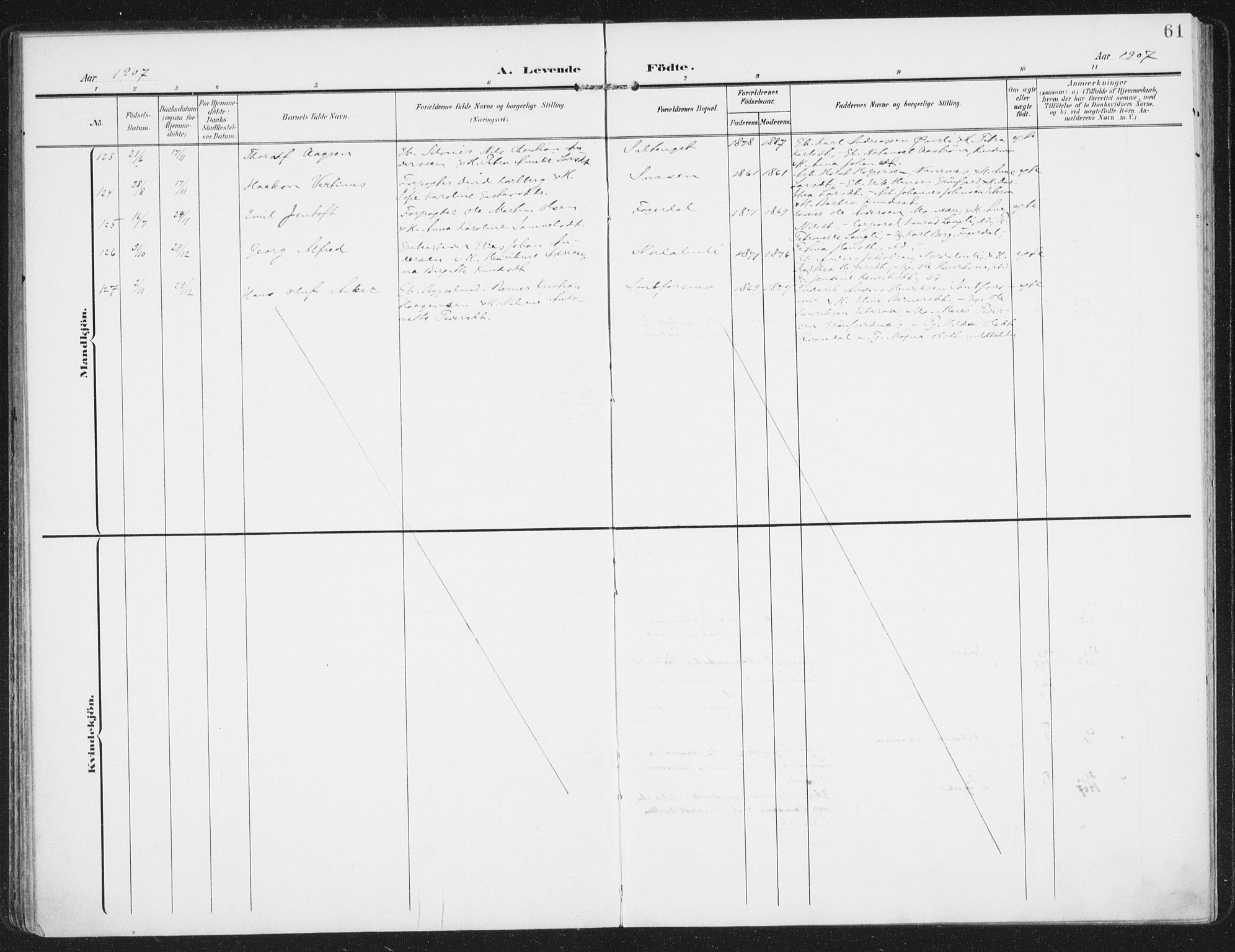 Ministerialprotokoller, klokkerbøker og fødselsregistre - Nordland, SAT/A-1459/827/L0402: Parish register (official) no. 827A14, 1903-1912, p. 61