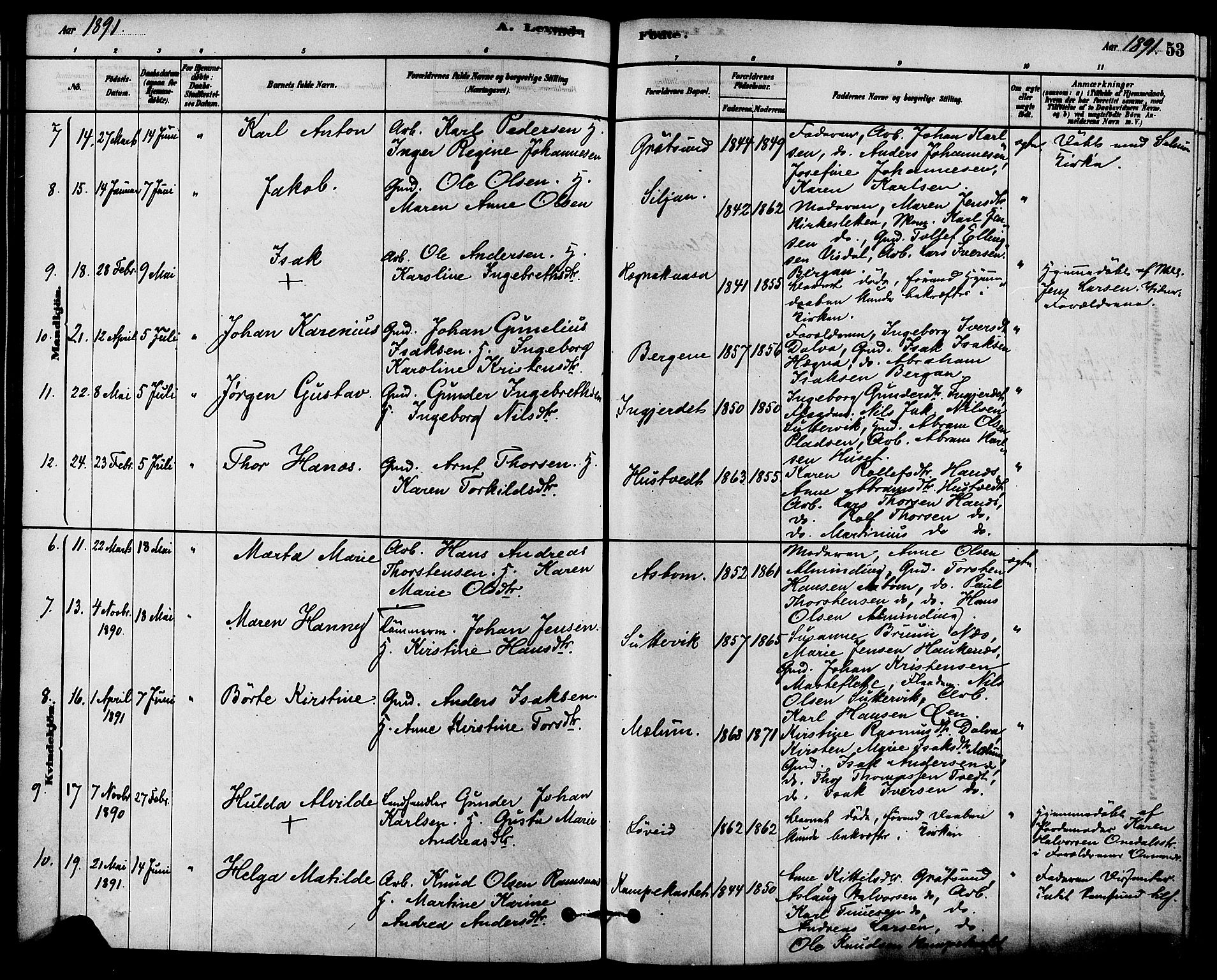 Solum kirkebøker, SAKO/A-306/F/Fb/L0001: Parish register (official) no. II 1, 1877-1892, p. 53