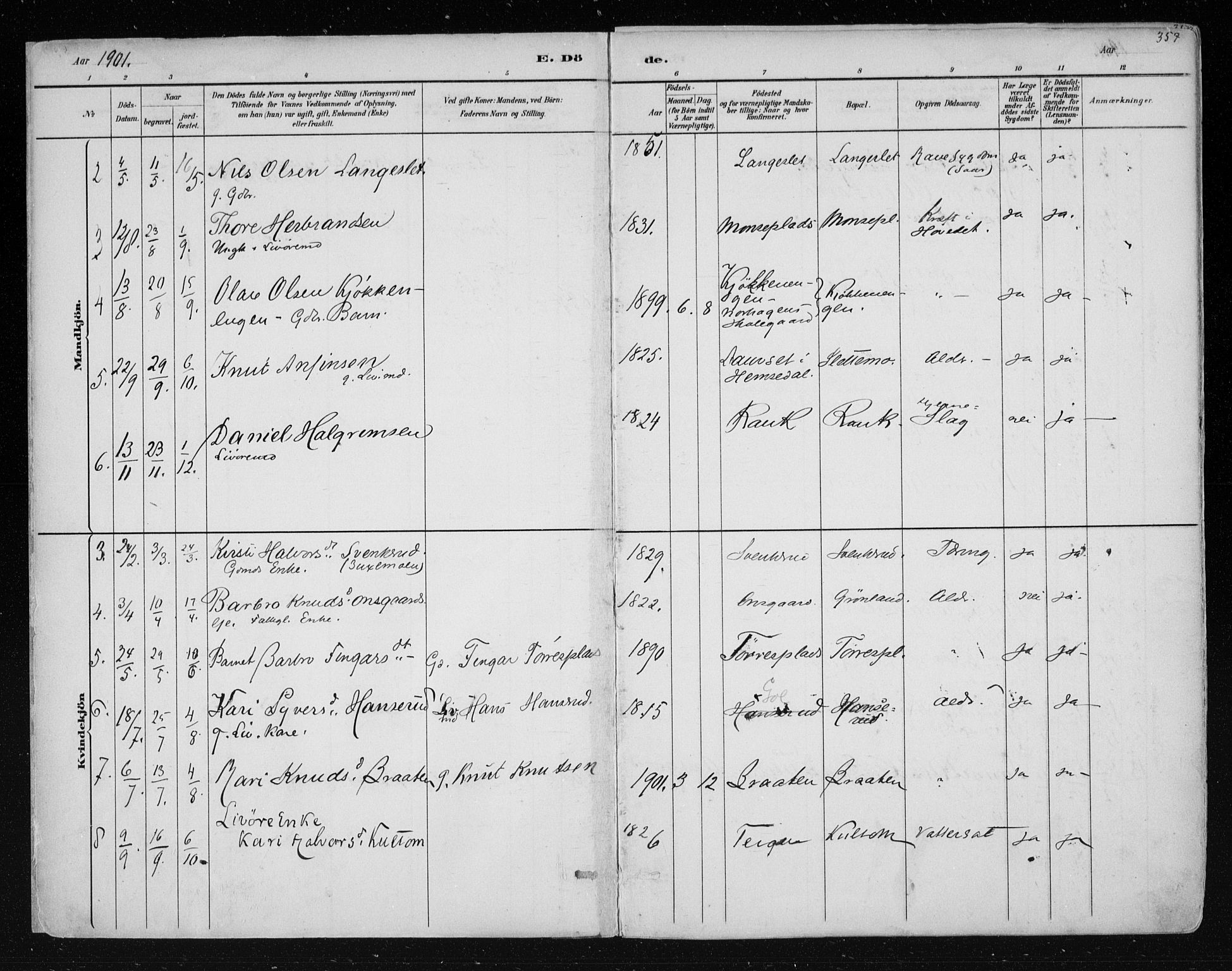 Nes kirkebøker, AV/SAKO-A-236/F/Fa/L0011: Parish register (official) no. 11, 1881-1912, p. 357