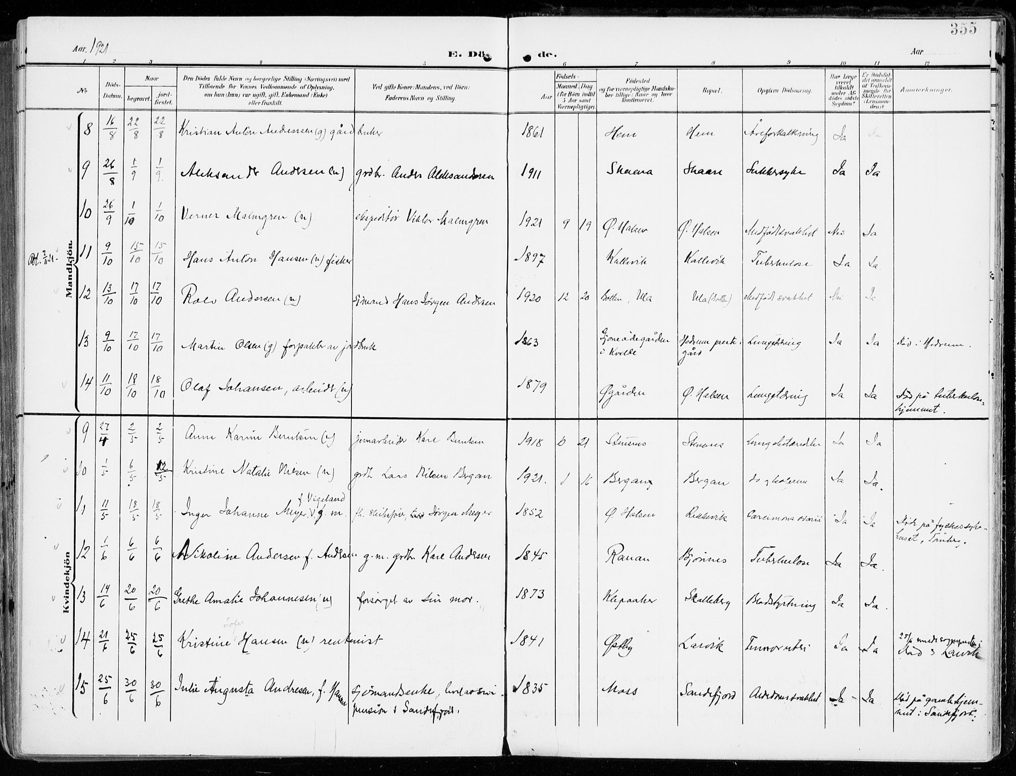 Tjølling kirkebøker, SAKO/A-60/F/Fa/L0010: Parish register (official) no. 10, 1906-1923, p. 355