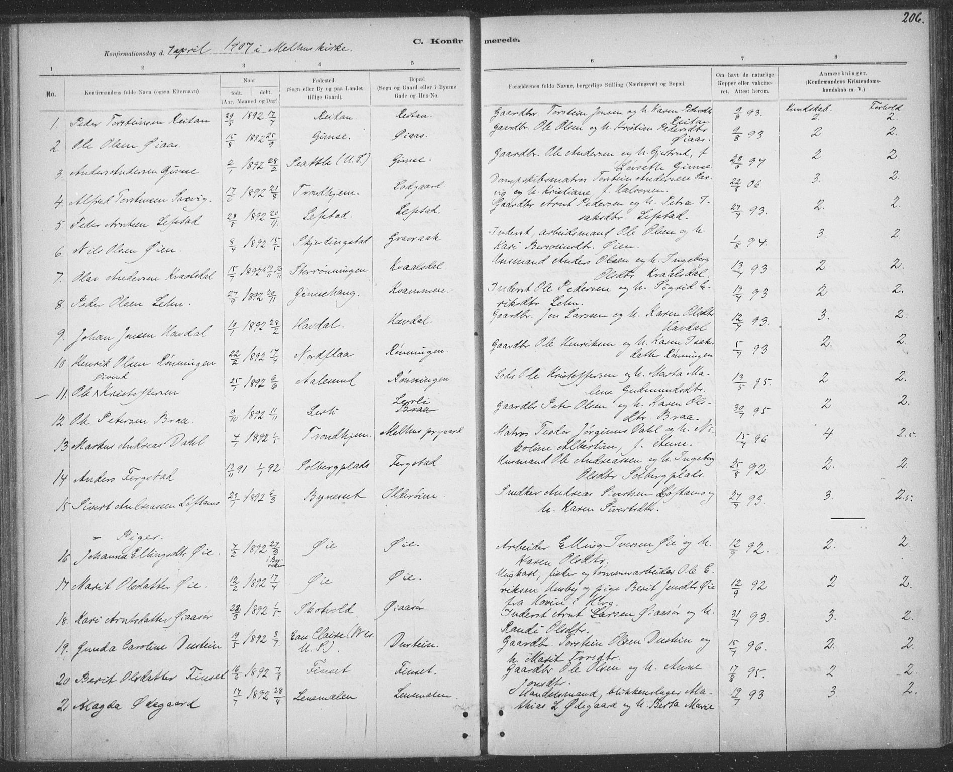 Ministerialprotokoller, klokkerbøker og fødselsregistre - Sør-Trøndelag, SAT/A-1456/691/L1085: Parish register (official) no. 691A17, 1887-1908, p. 206