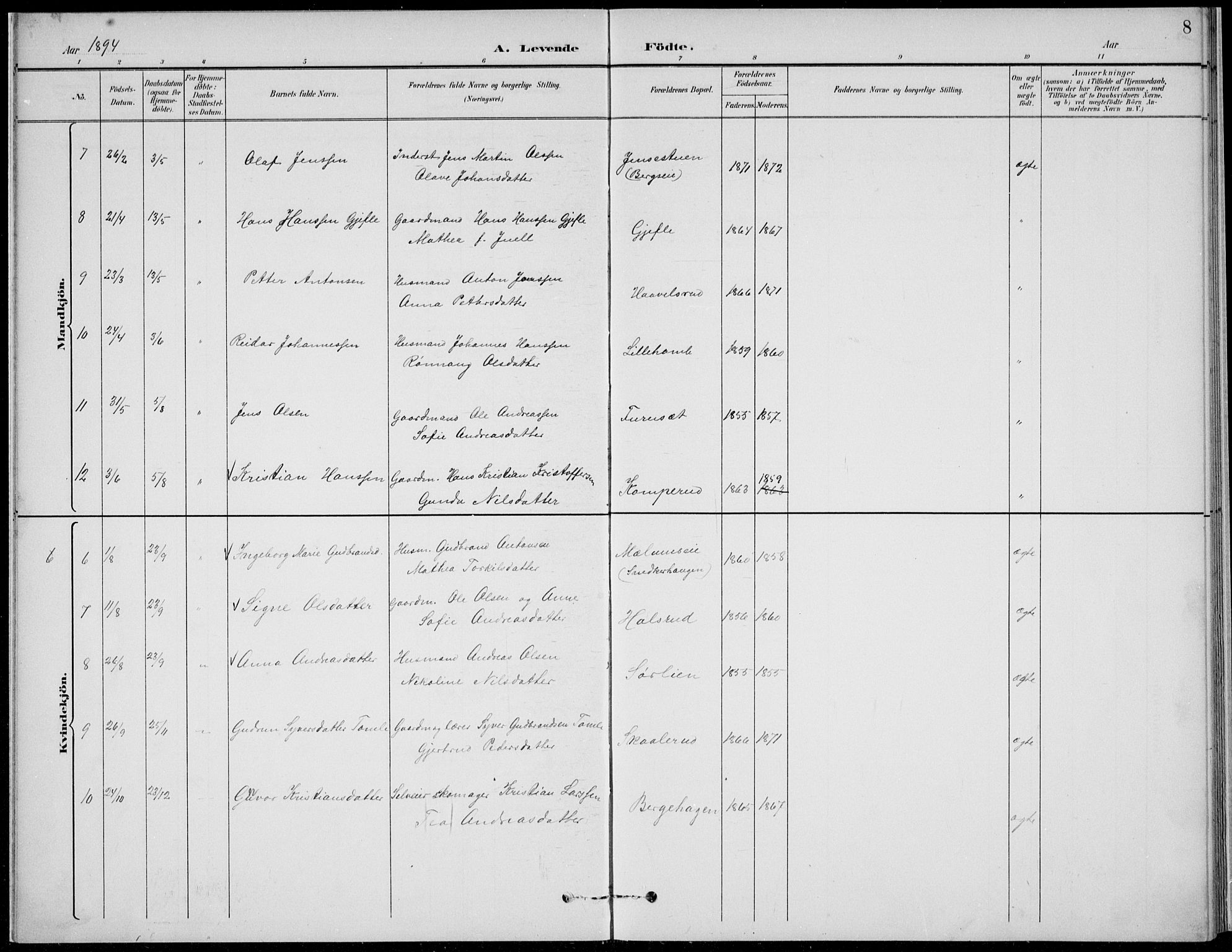 Nordre Land prestekontor, SAH/PREST-124/H/Ha/Hab/L0014: Parish register (copy) no. 14, 1891-1907, p. 8
