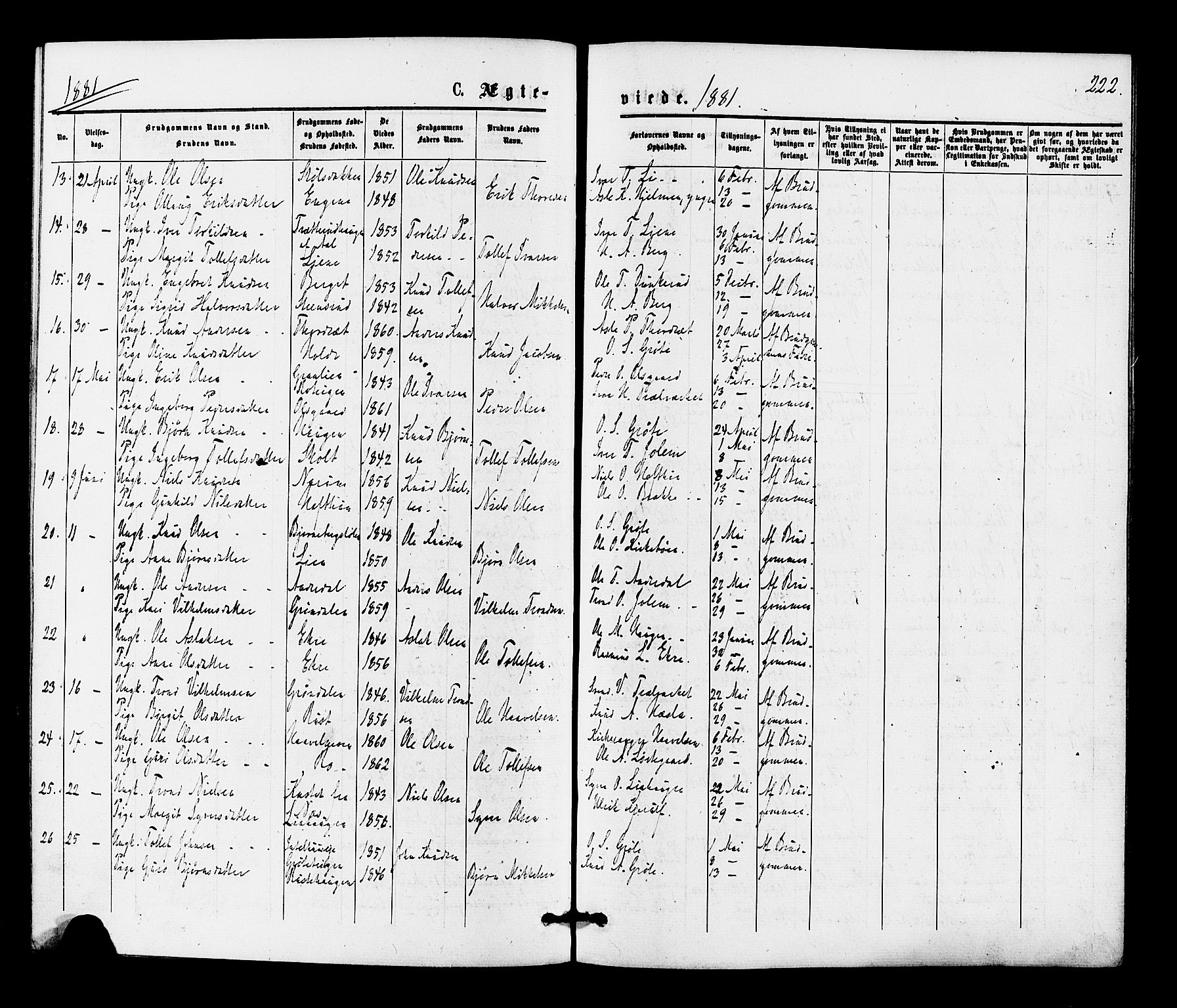 Gol kirkebøker, SAKO/A-226/F/Fa/L0004: Parish register (official) no. I 4, 1876-1886, p. 222