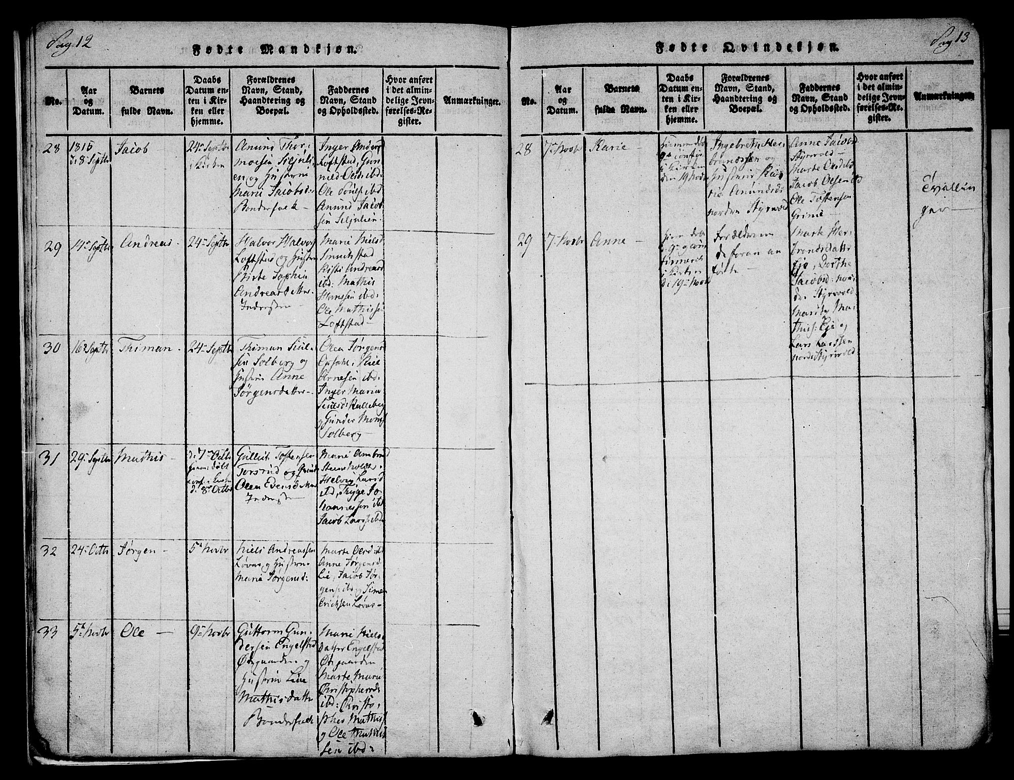 Lardal kirkebøker, SAKO/A-350/F/Fa/L0005: Parish register (official) no. I 5, 1814-1835, p. 12-13
