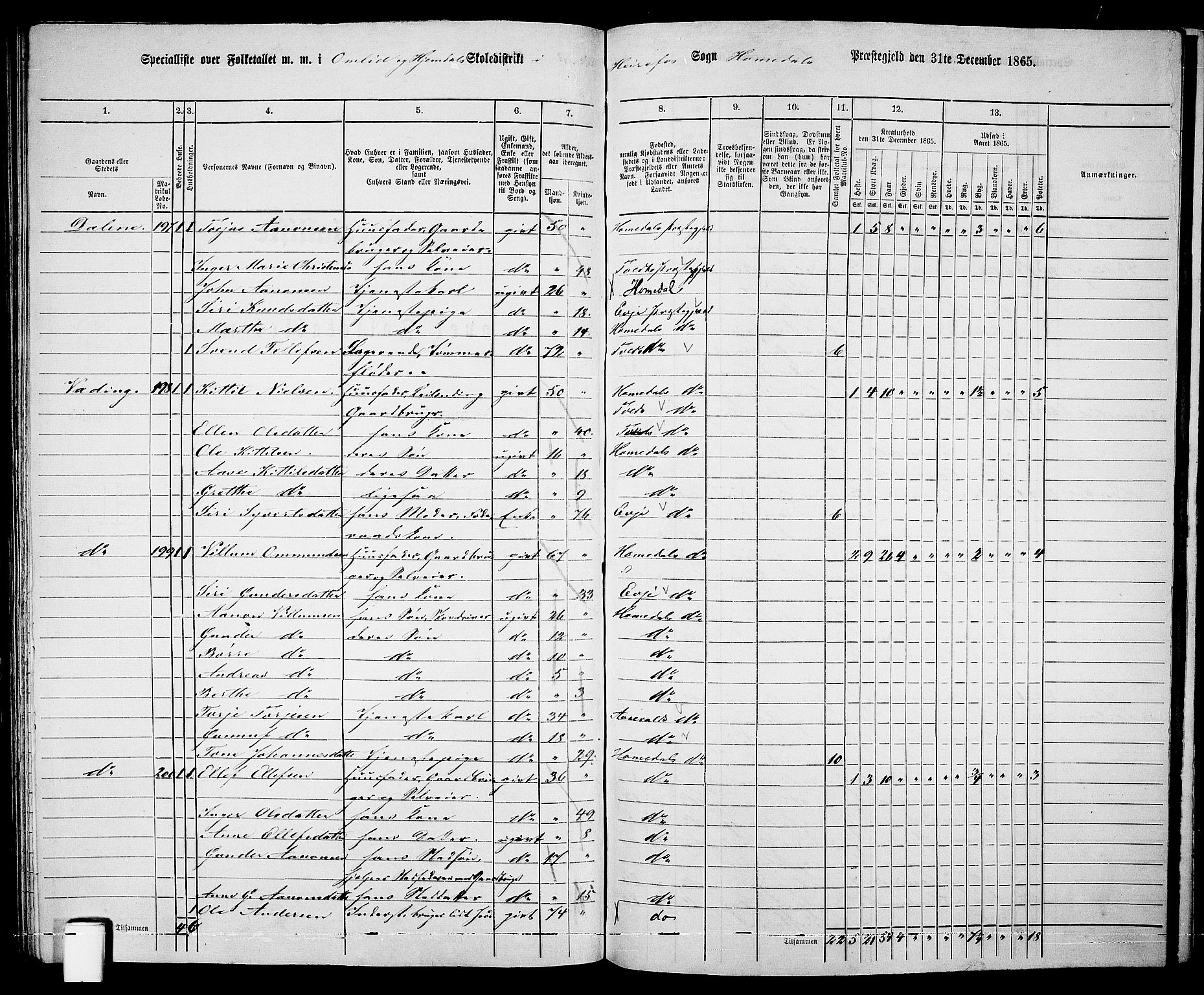 RA, 1865 census for Homedal, 1865, p. 153