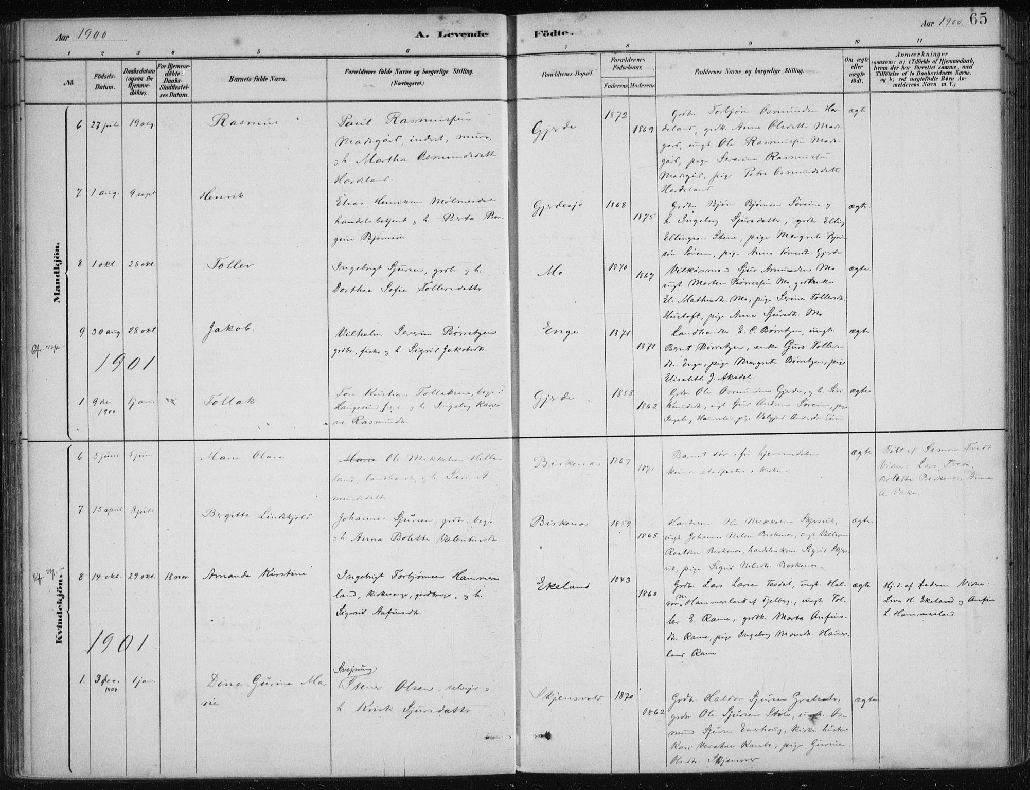 Etne sokneprestembete, AV/SAB-A-75001/H/Haa: Parish register (official) no. C  1, 1879-1919, p. 65