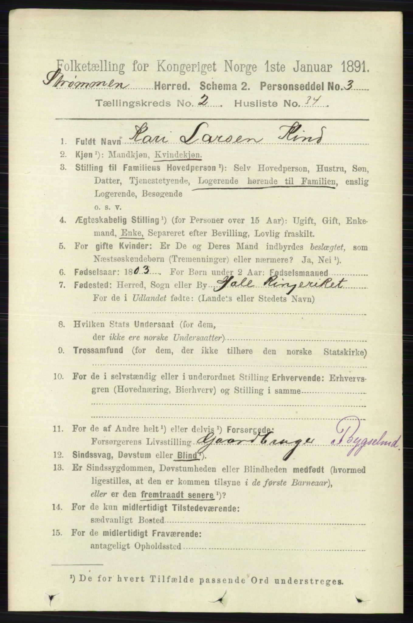 RA, 1891 census for 0711 Strømm, 1891, p. 892