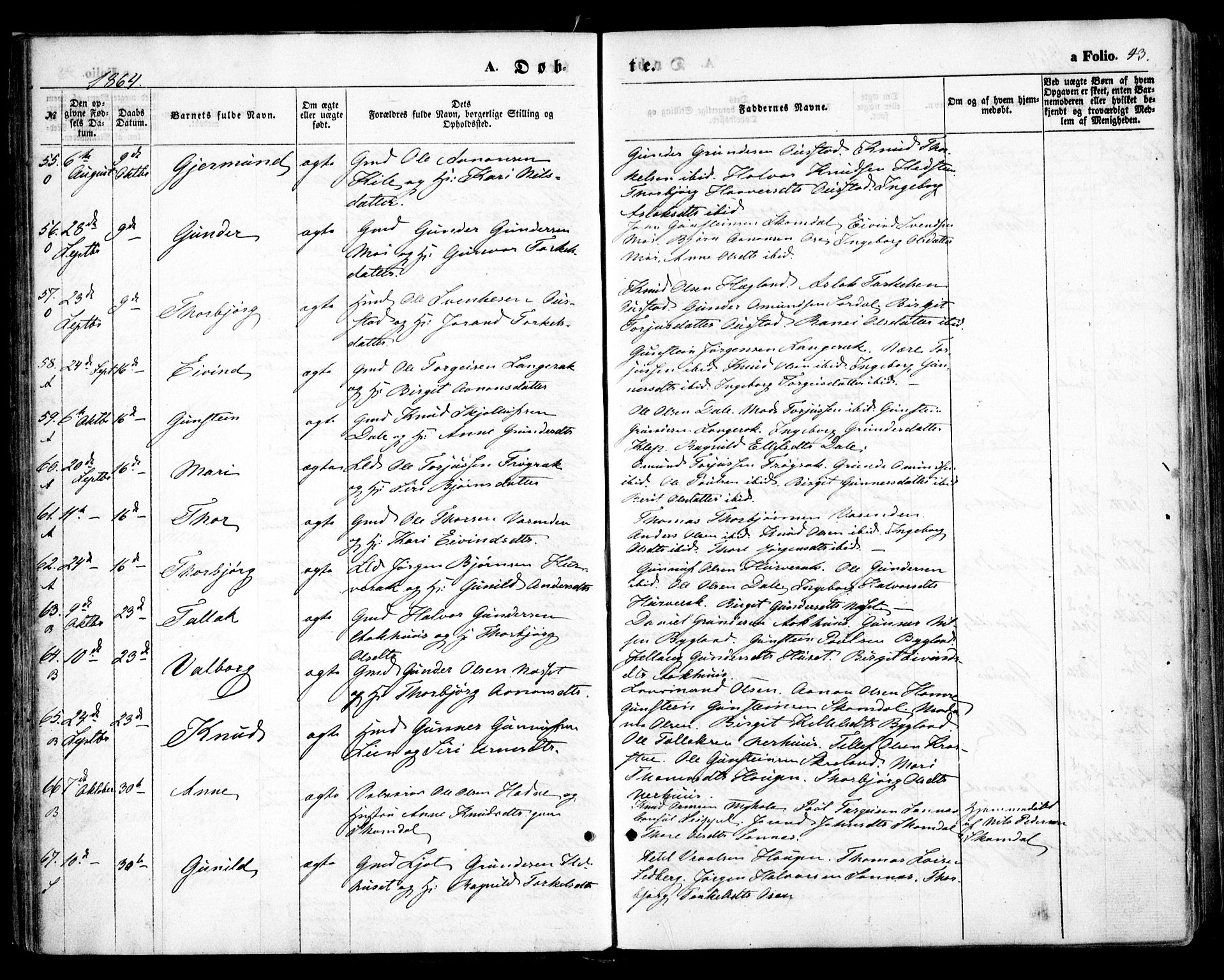 Bygland sokneprestkontor, SAK/1111-0006/F/Fa/Fab/L0005: Parish register (official) no. A 5, 1859-1873, p. 43