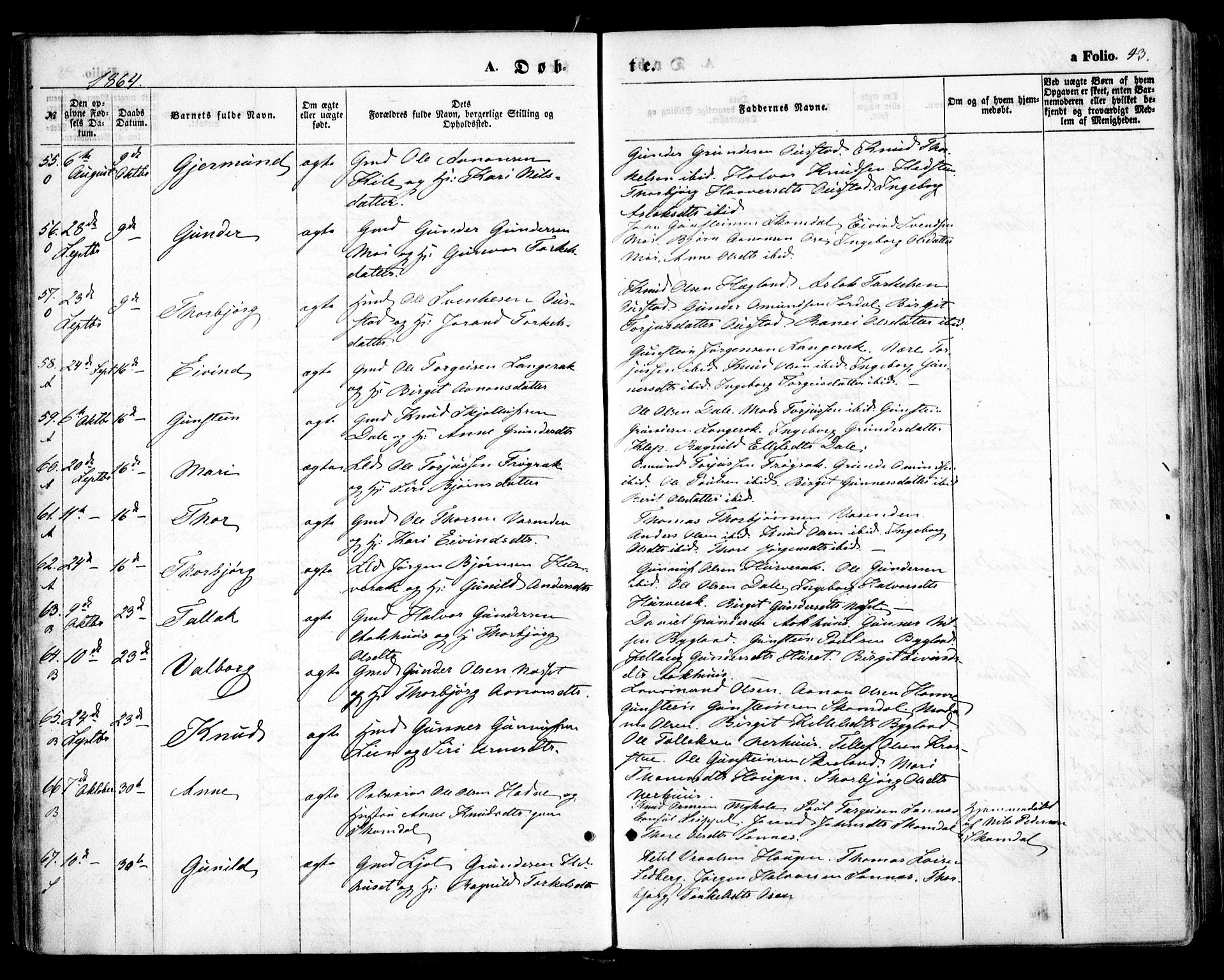 Bygland sokneprestkontor, AV/SAK-1111-0006/F/Fa/Fab/L0005: Parish register (official) no. A 5, 1859-1873, p. 43