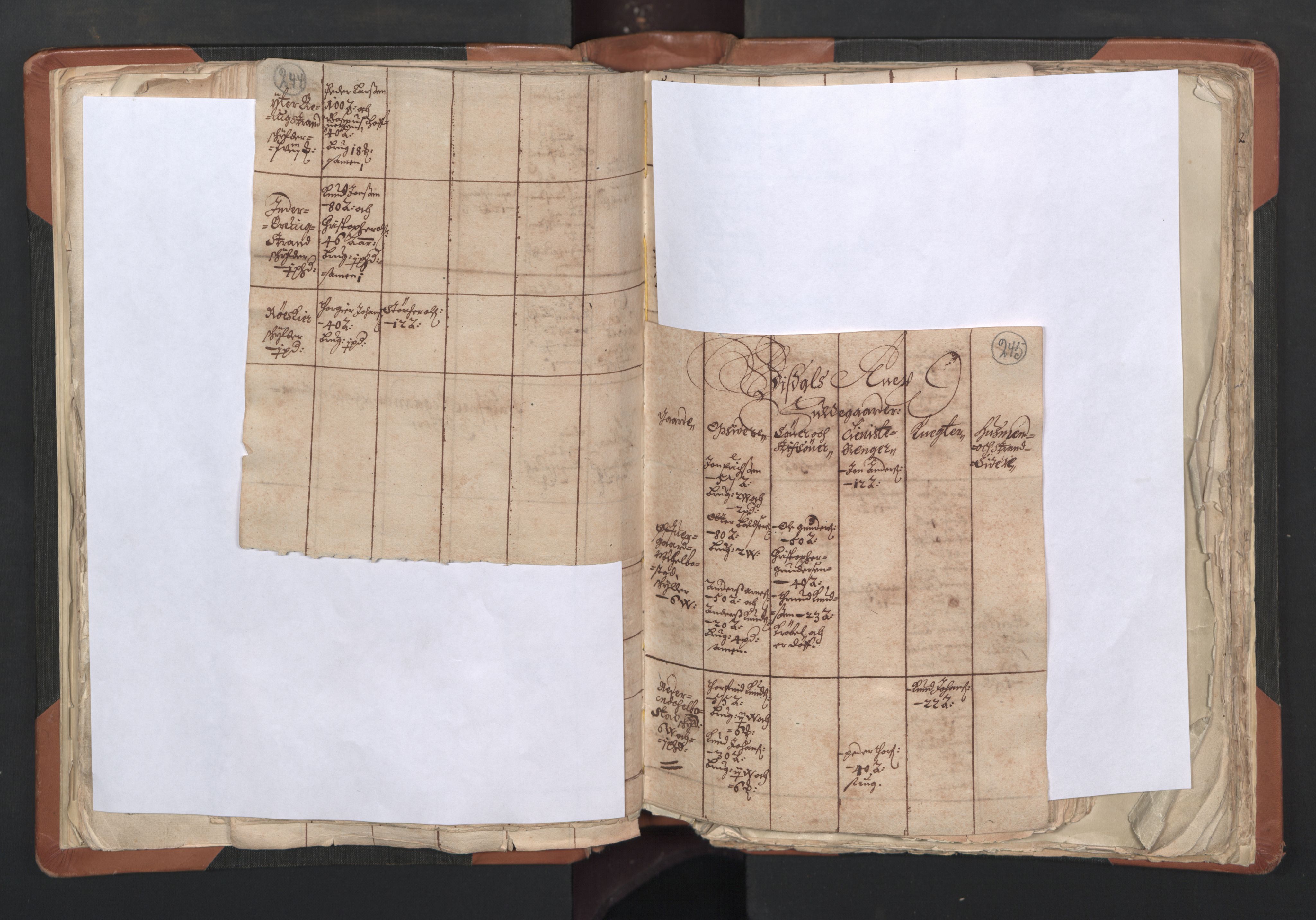 RA, Vicar's Census 1664-1666, no. 27: Romsdal deanery, 1664-1666, p. 244-245