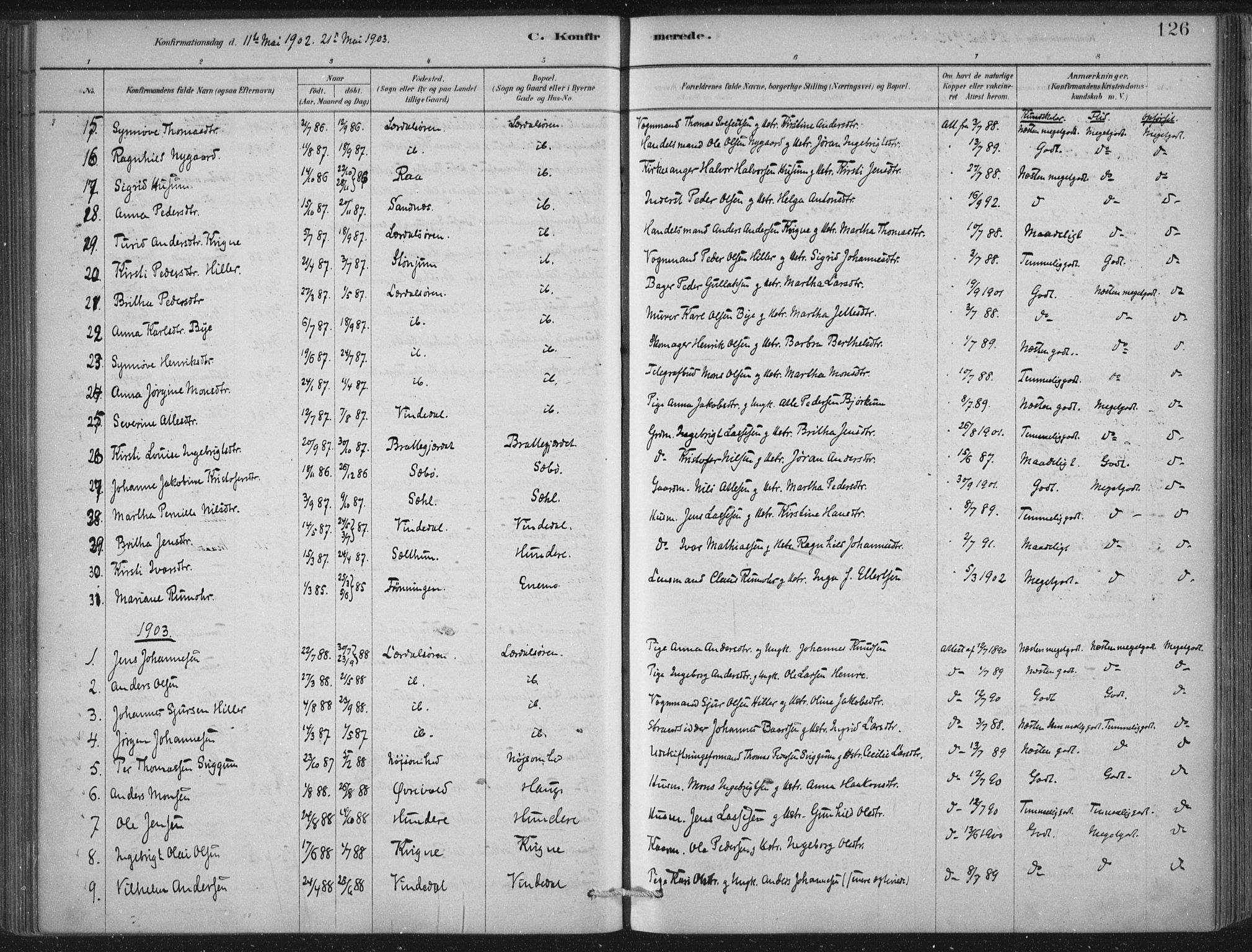 Lærdal sokneprestembete, SAB/A-81201: Parish register (official) no. D  1, 1878-1908, p. 126
