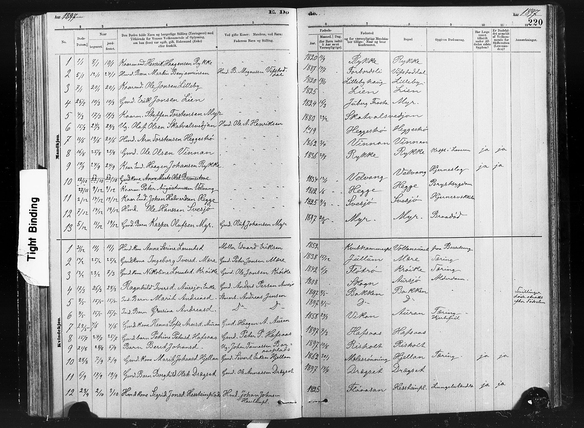 Ministerialprotokoller, klokkerbøker og fødselsregistre - Nord-Trøndelag, AV/SAT-A-1458/712/L0103: Parish register (copy) no. 712C01, 1878-1917, p. 220