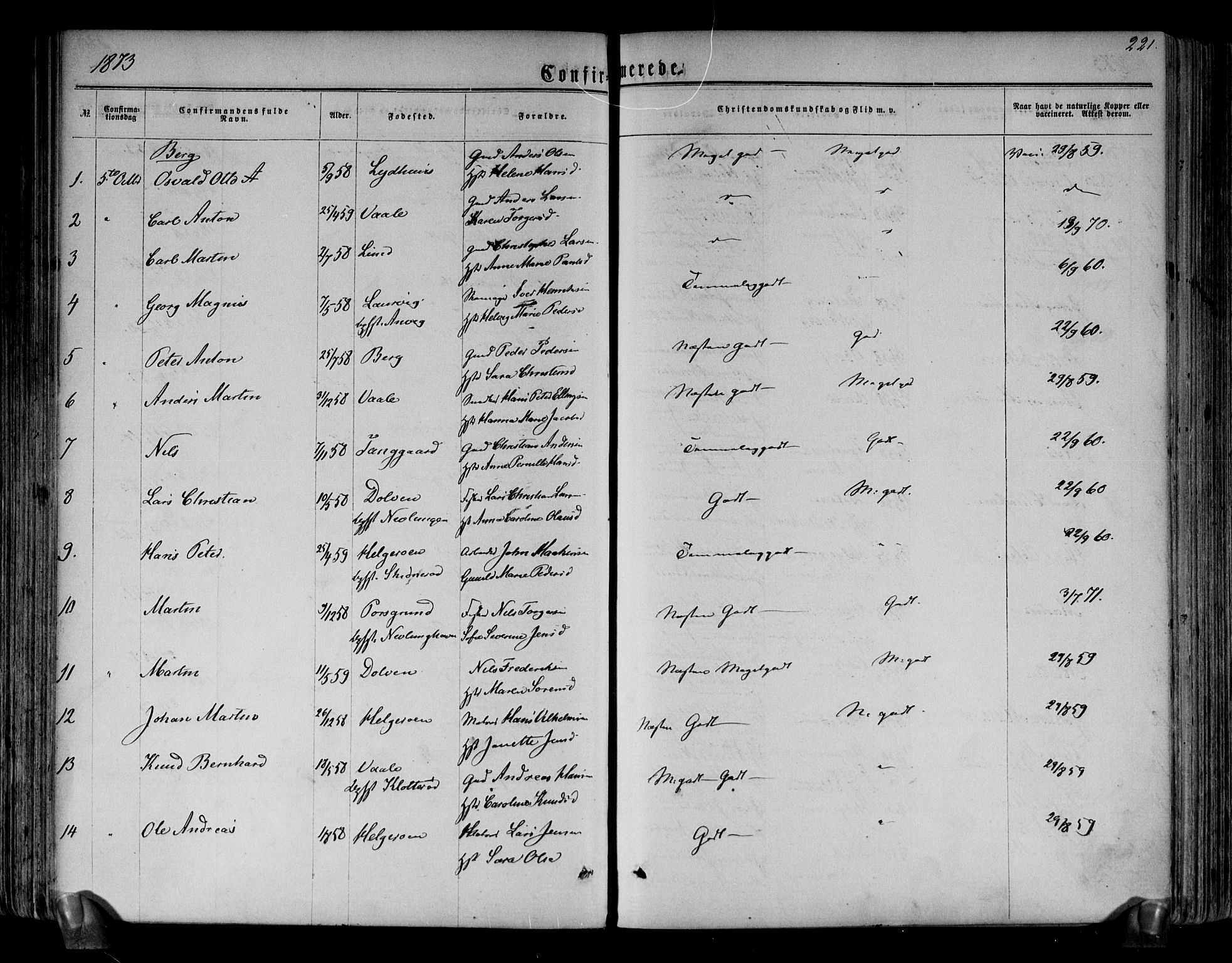 Brunlanes kirkebøker, AV/SAKO-A-342/F/Fa/L0005: Parish register (official) no. I 5, 1862-1877, p. 221