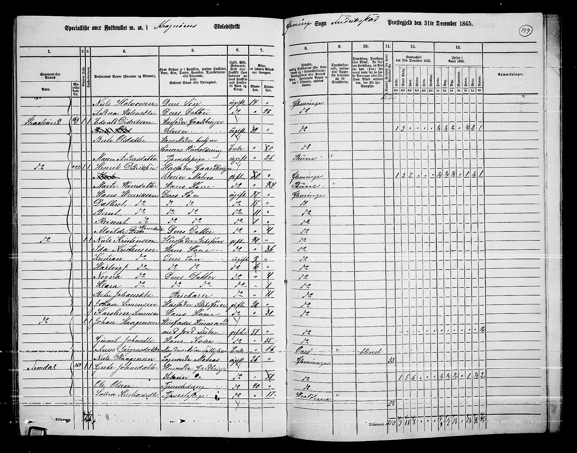 RA, 1865 census for Fredrikstad/Glemmen, 1865, p. 168