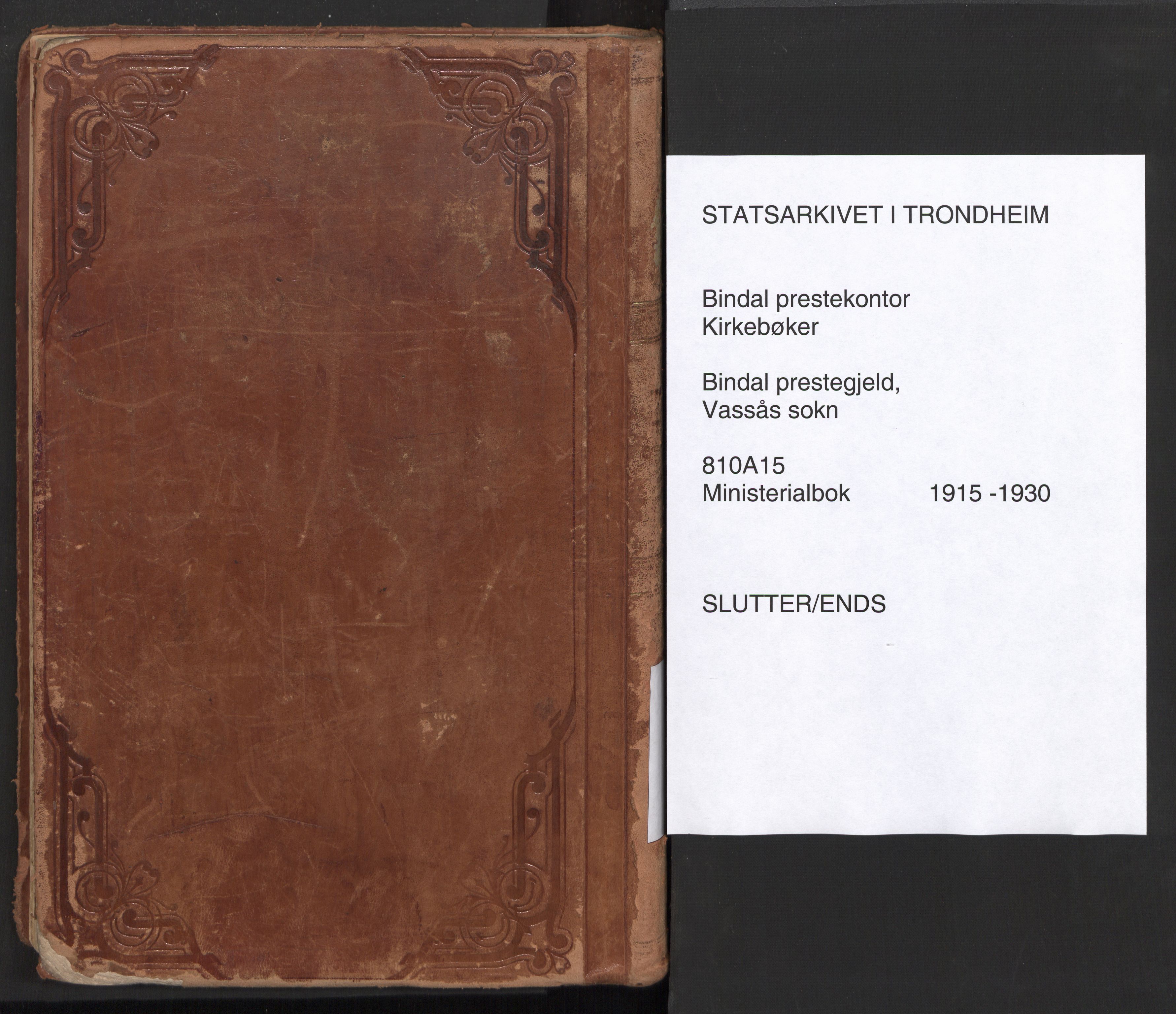 Ministerialprotokoller, klokkerbøker og fødselsregistre - Nordland, AV/SAT-A-1459/810/L0156: Parish register (official) no. 810A15, 1915-1930