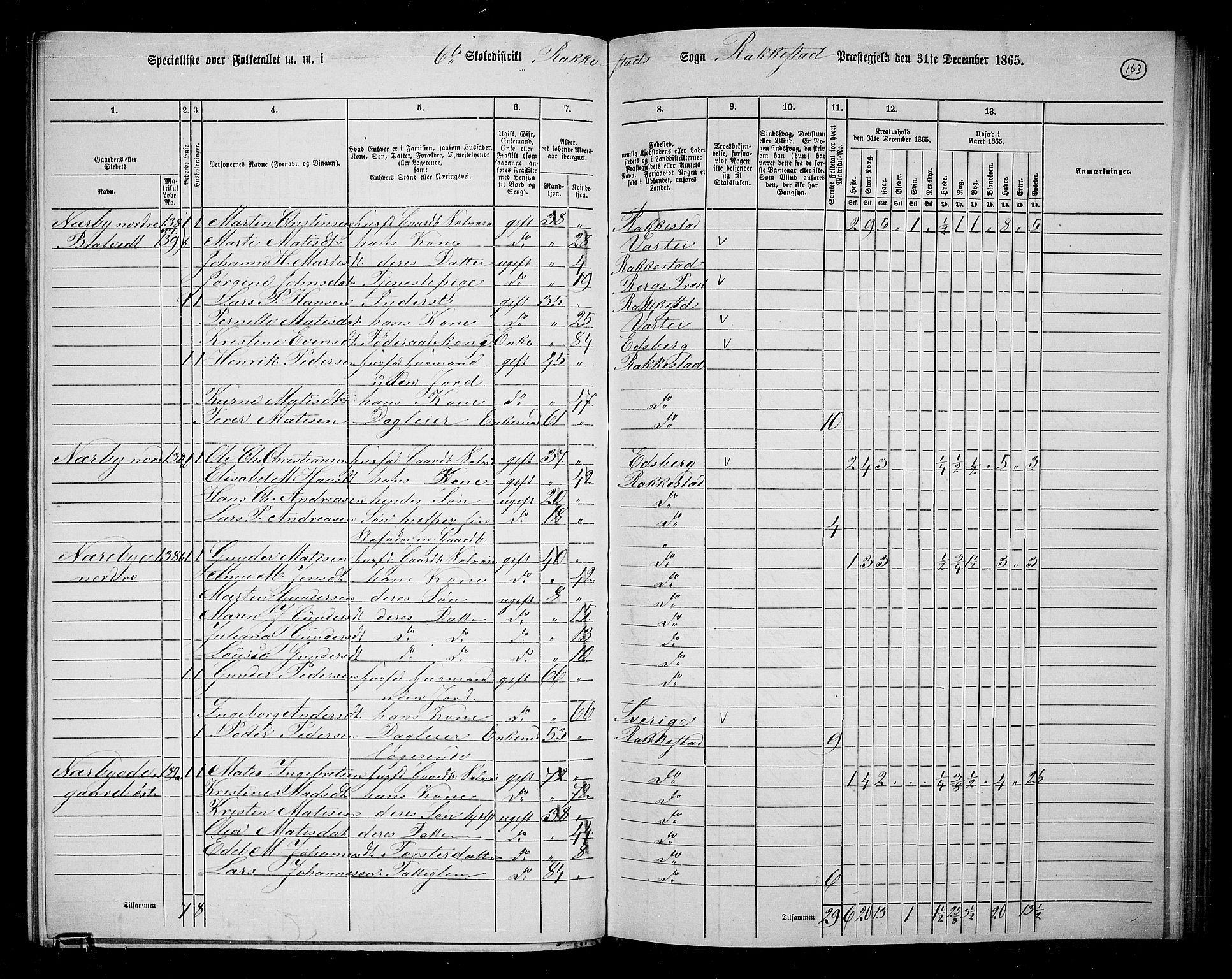 RA, 1865 census for Rakkestad, 1865, p. 155