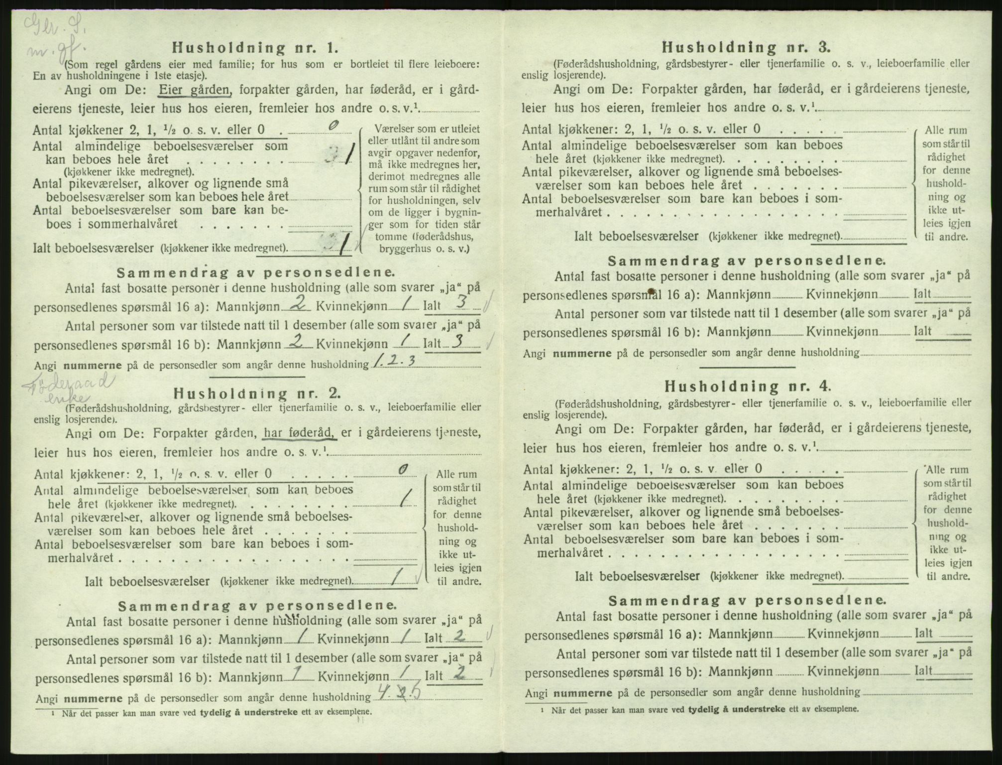 SAK, 1920 census for Valle, 1920, p. 316