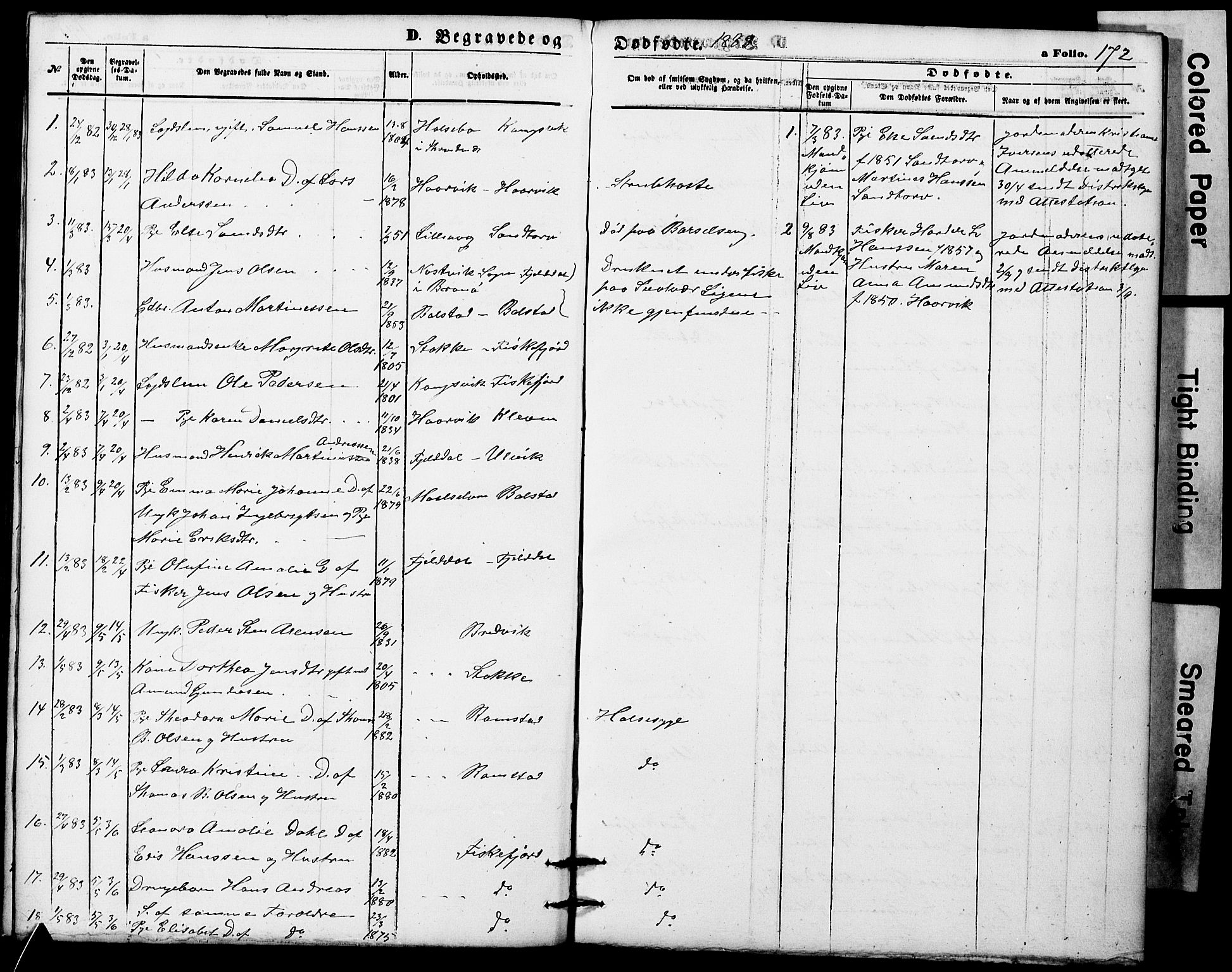 Ministerialprotokoller, klokkerbøker og fødselsregistre - Nordland, AV/SAT-A-1459/865/L0930: Parish register (copy) no. 865C02, 1866-1884, p. 172