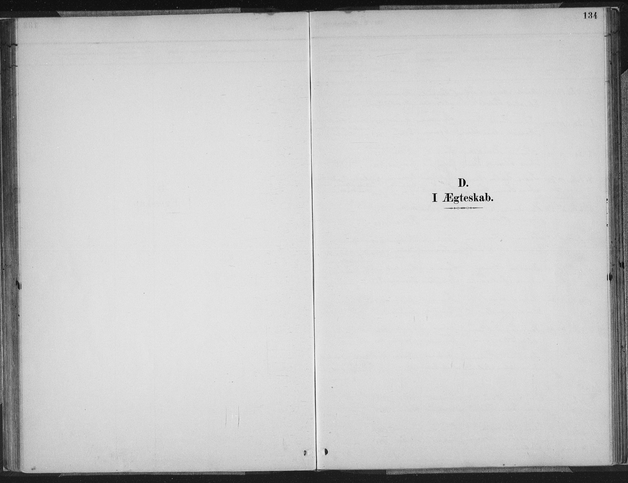 Sør-Audnedal sokneprestkontor, SAK/1111-0039/F/Fa/Faa/L0004: Parish register (official) no. A 4, 1884-1909, p. 134