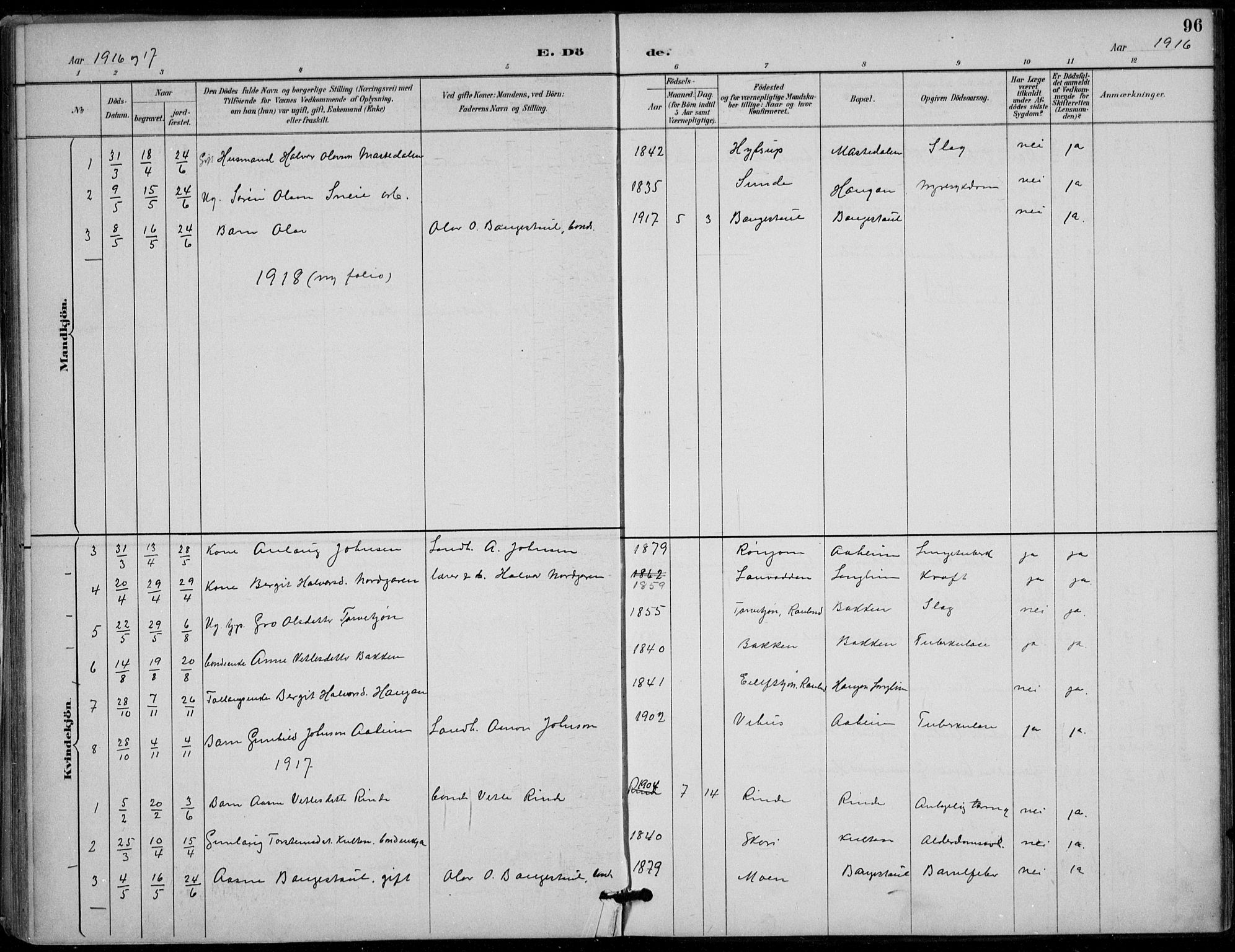 Seljord kirkebøker, SAKO/A-20/F/Fc/L0002: Parish register (official) no. III 2, 1887-1920, p. 96